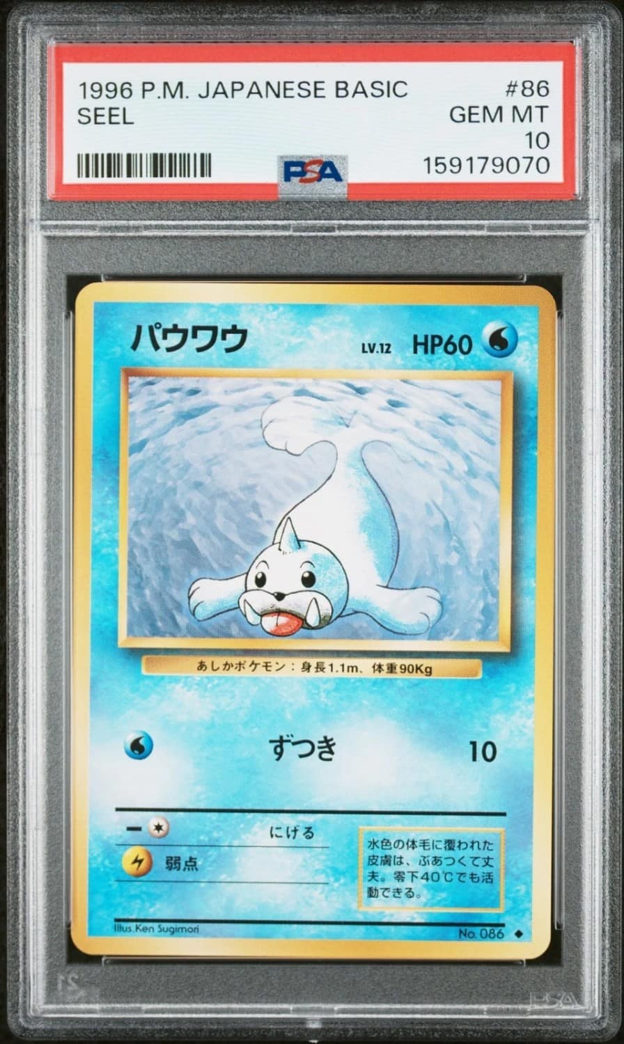 Seel