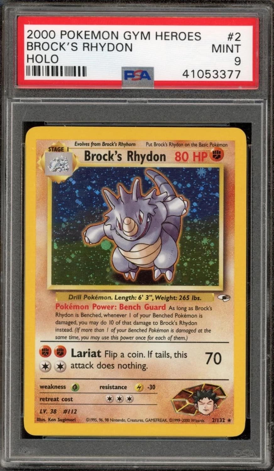 Brock'S Rhydon