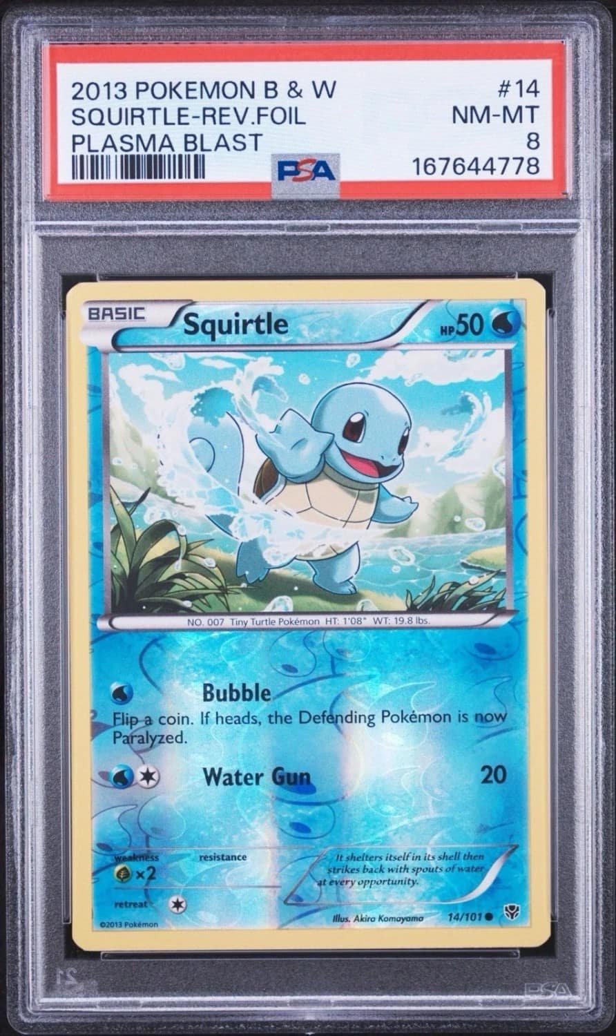 Squirtle