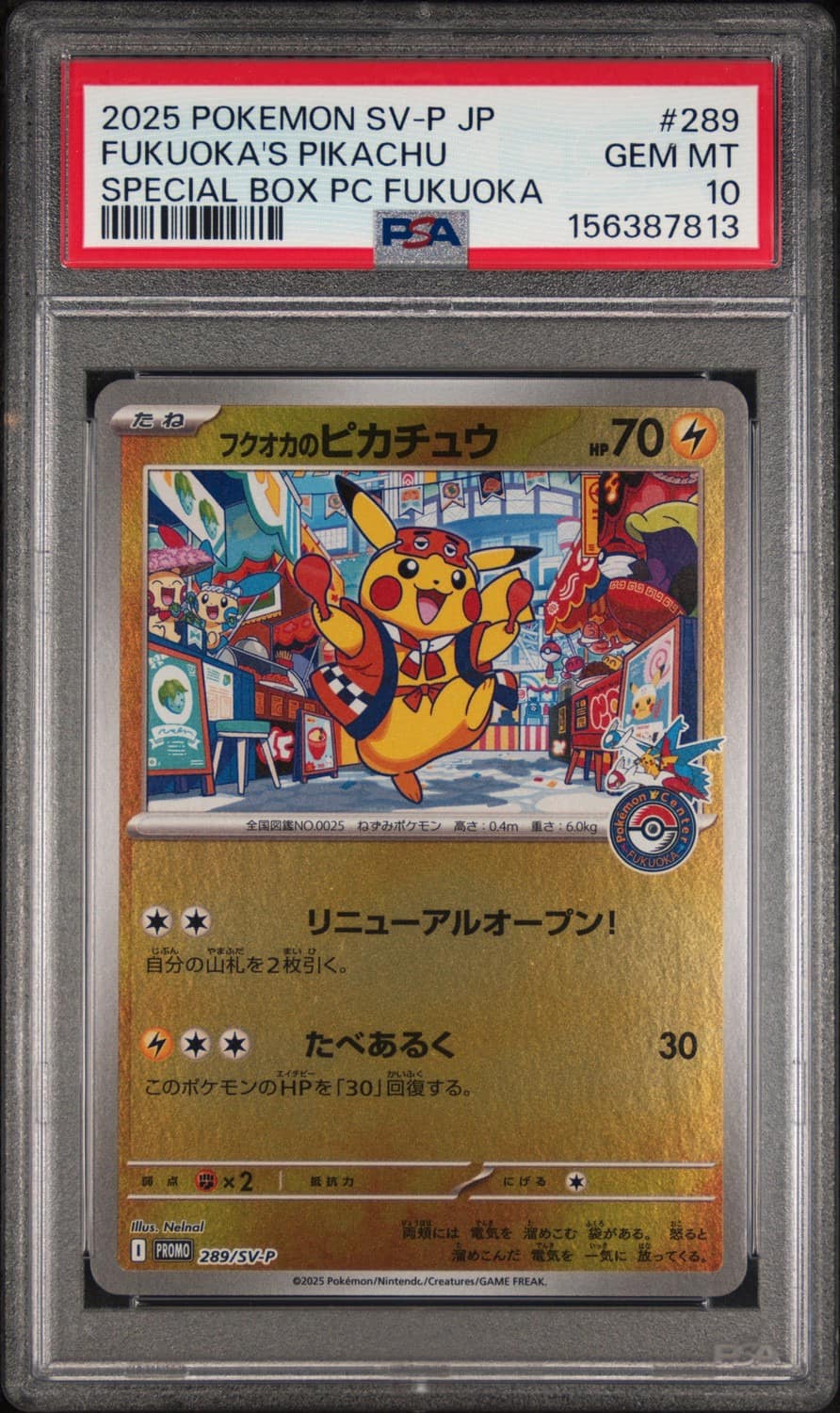 Fukuoka'S Pikachu