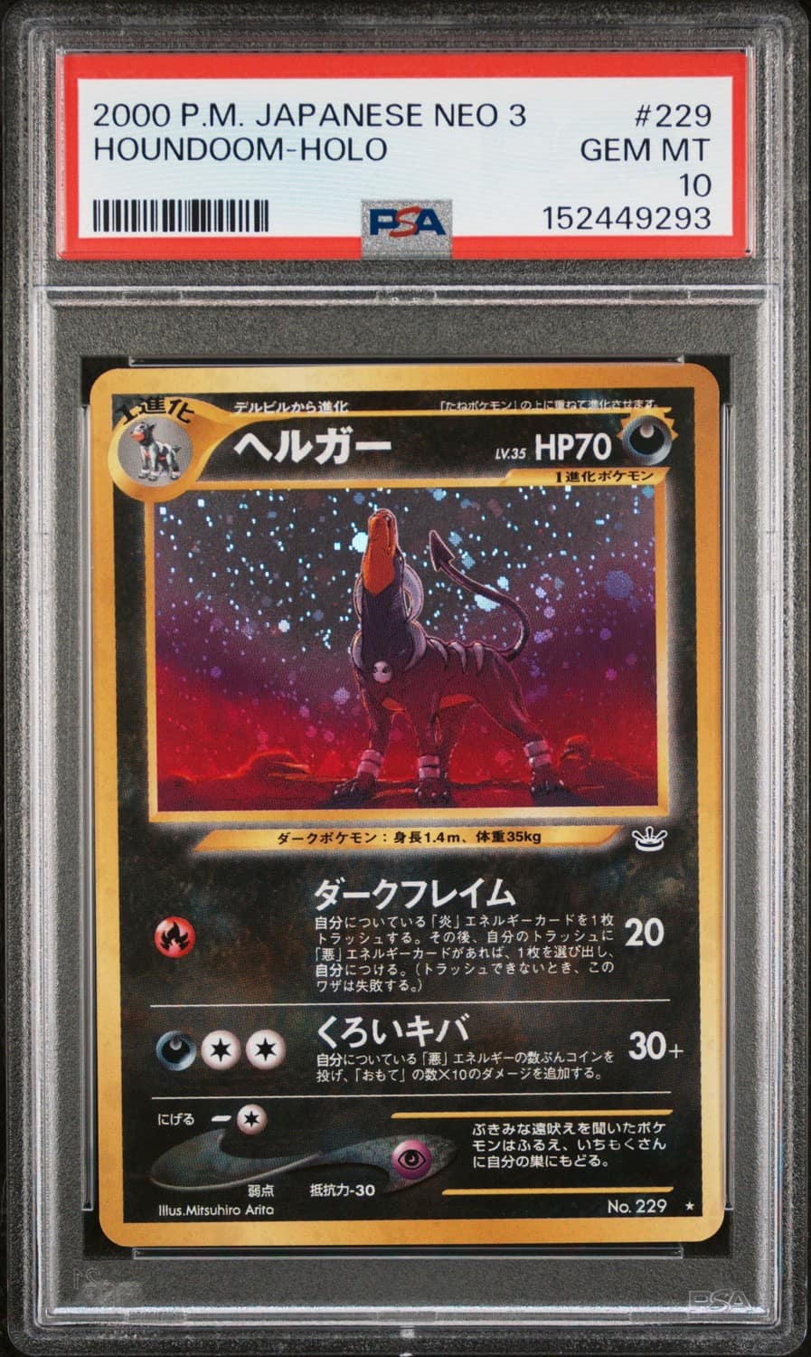 Houndoom