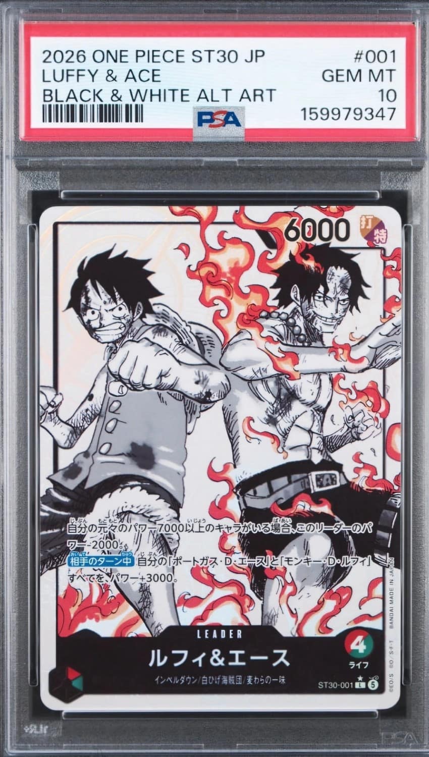 Luffy & Ace