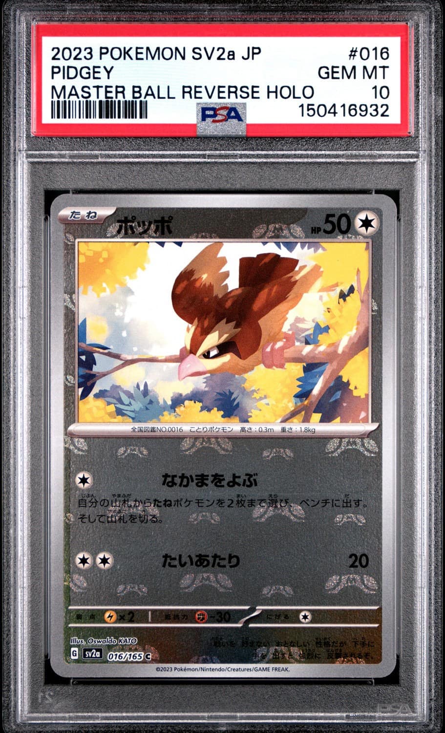 Pidgey