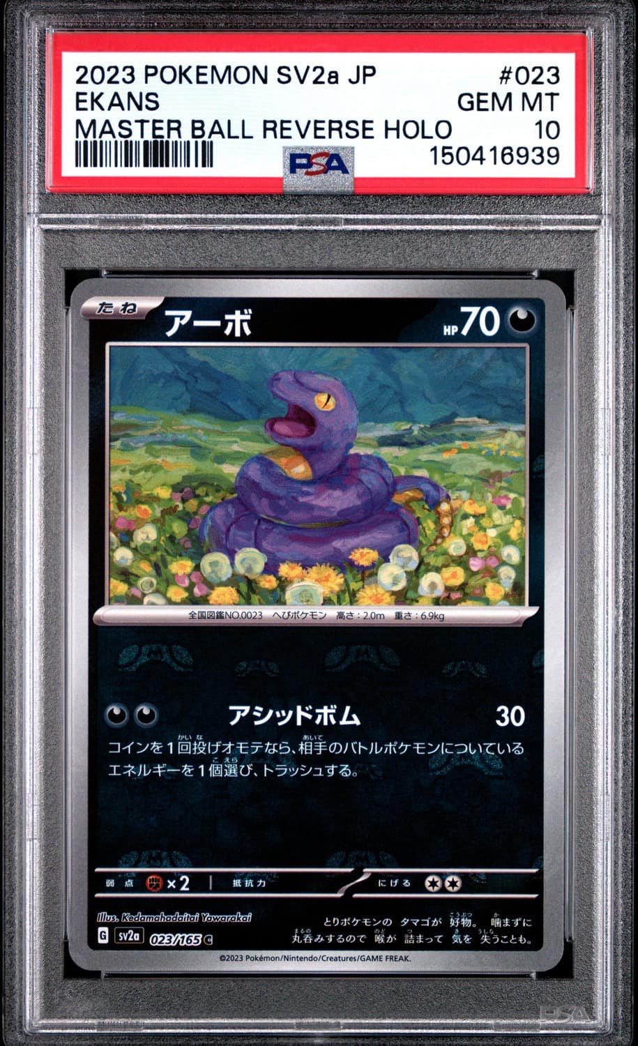 Ekans