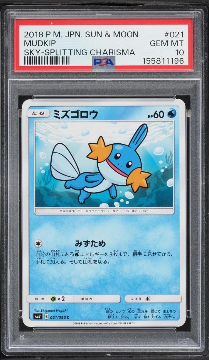 Mudkip