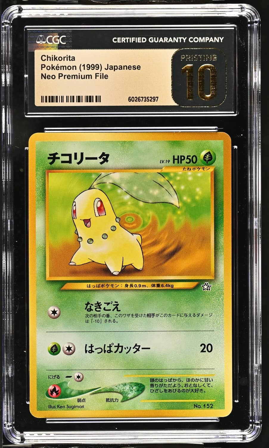 Chikorita