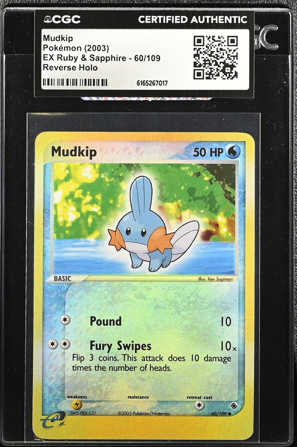 Mudkip