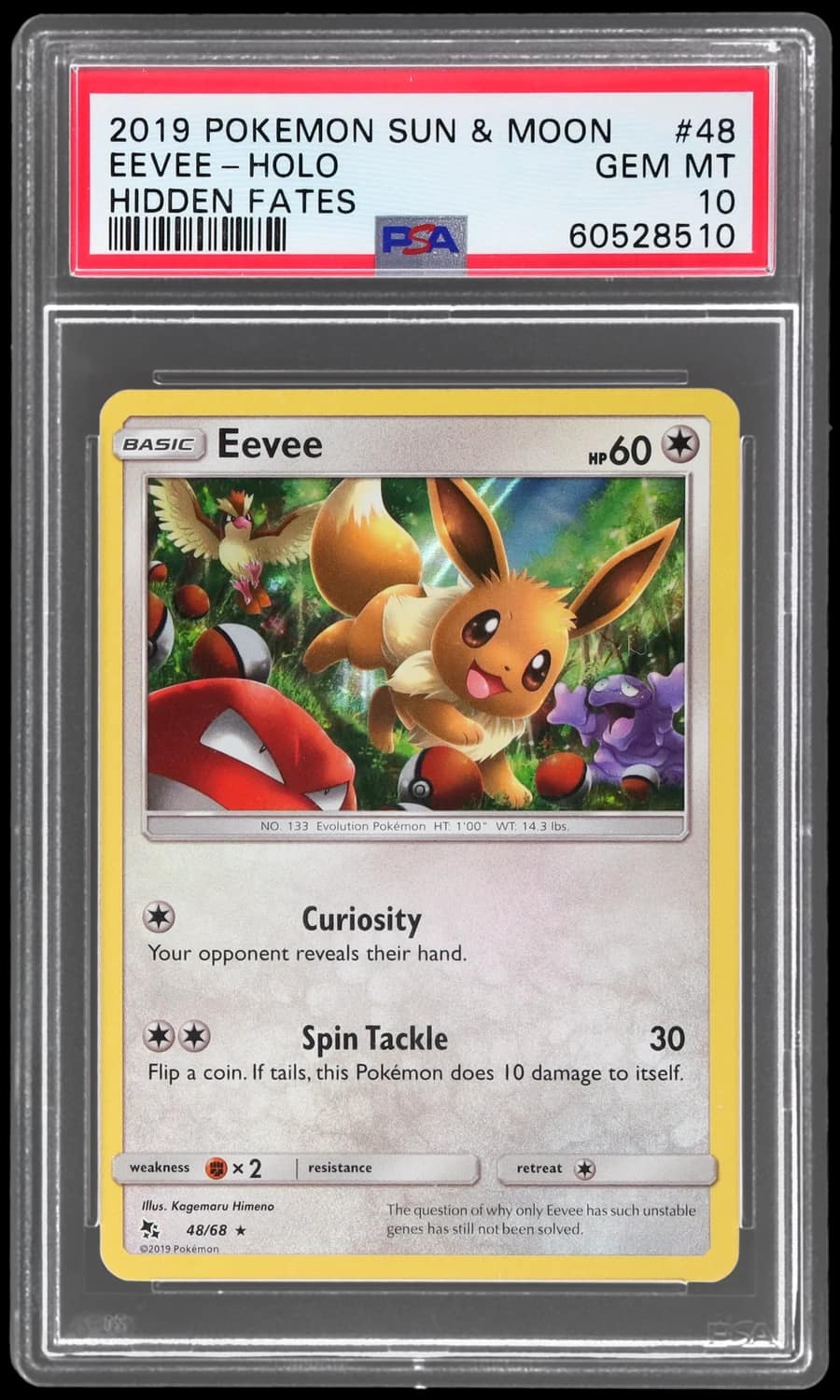 Eevee