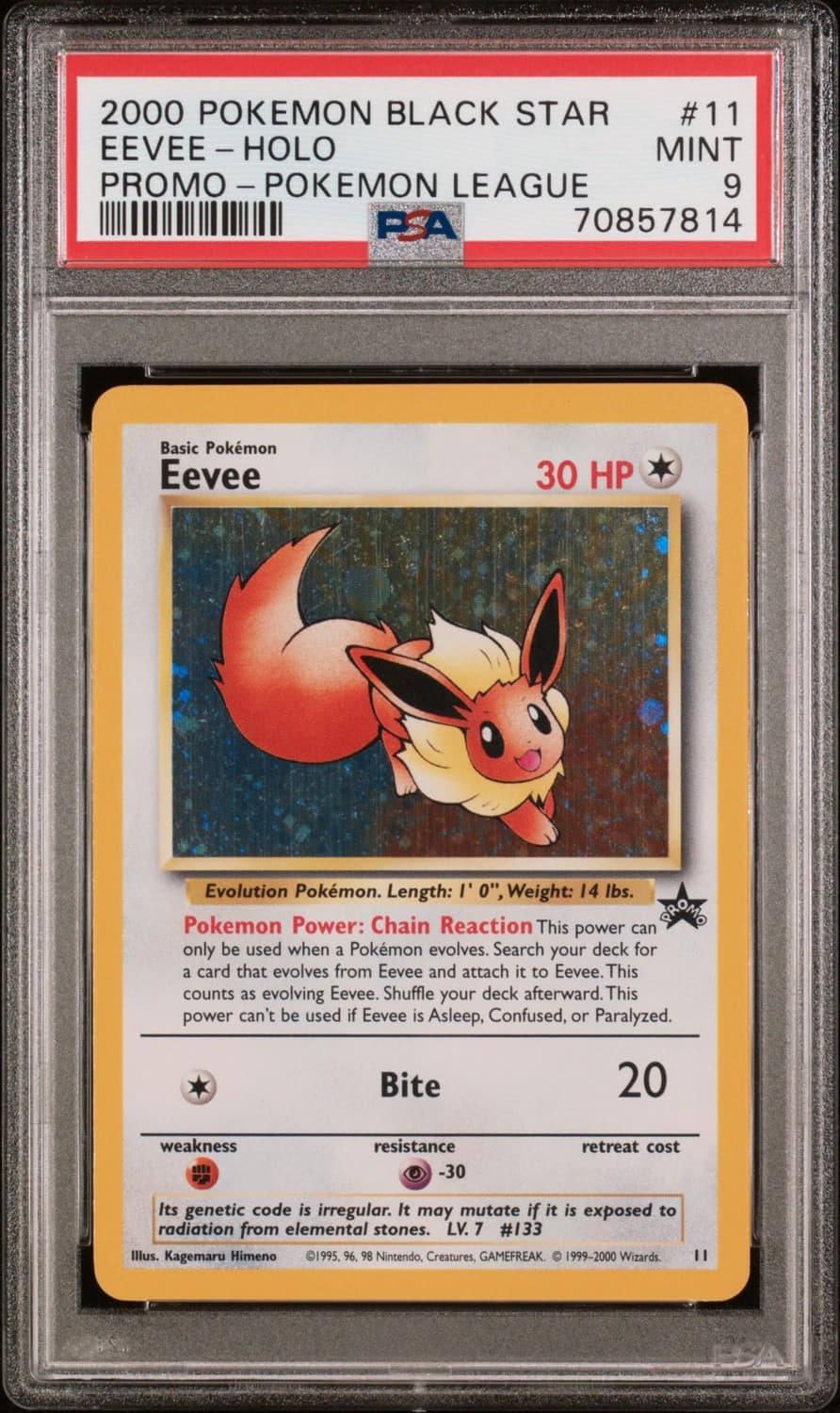 Eevee