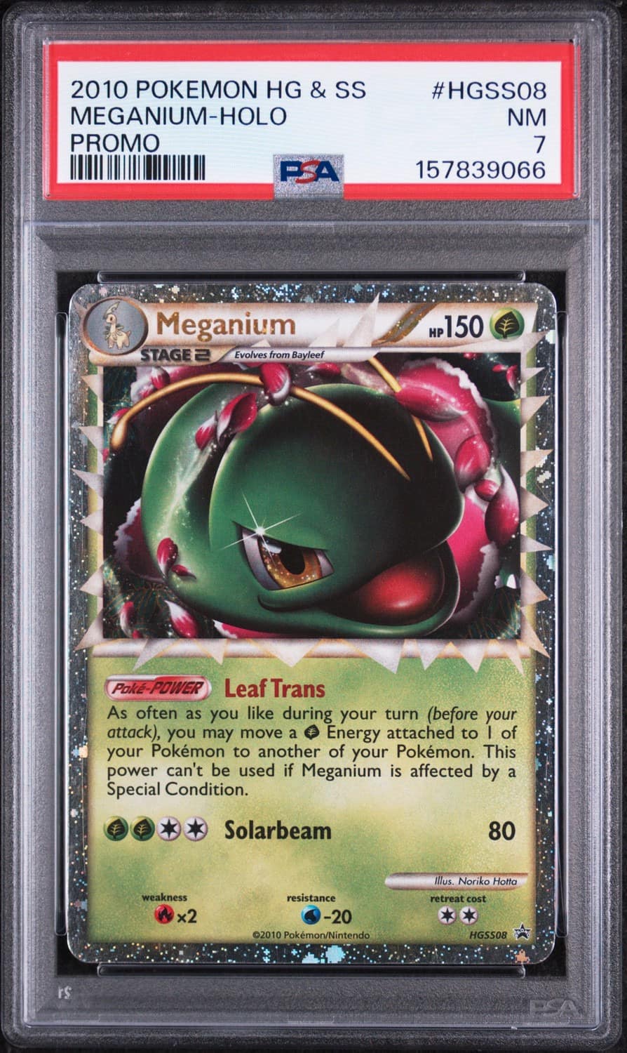 Meganium