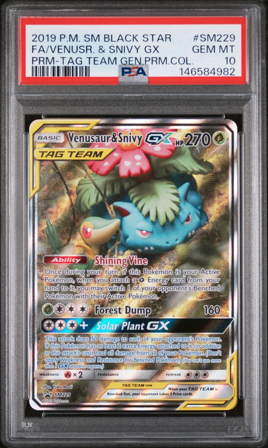 Venusaur & Snivy Gx
