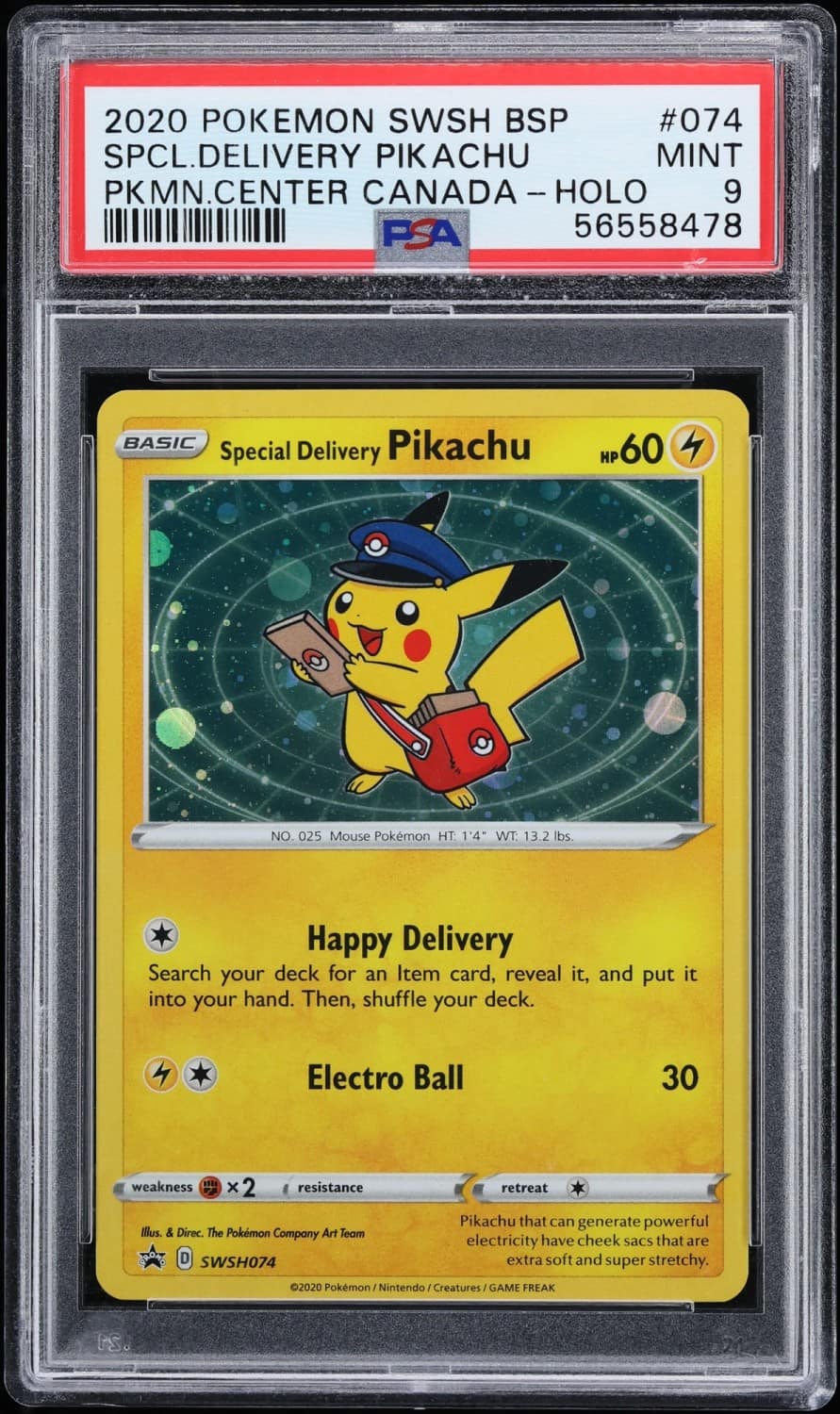 Special Delivery Pikachu