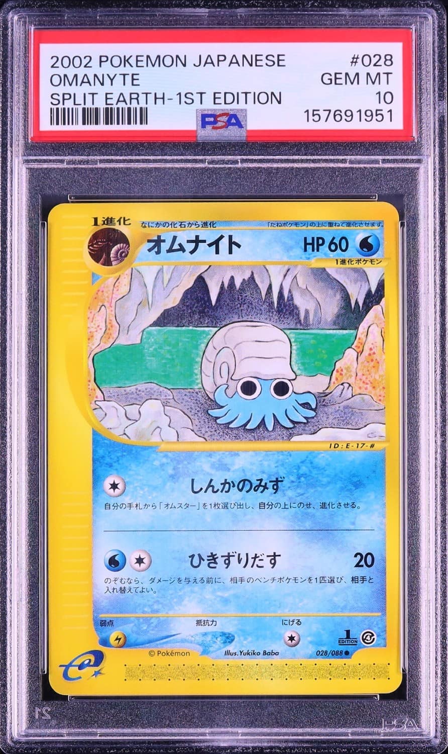 Omanyte