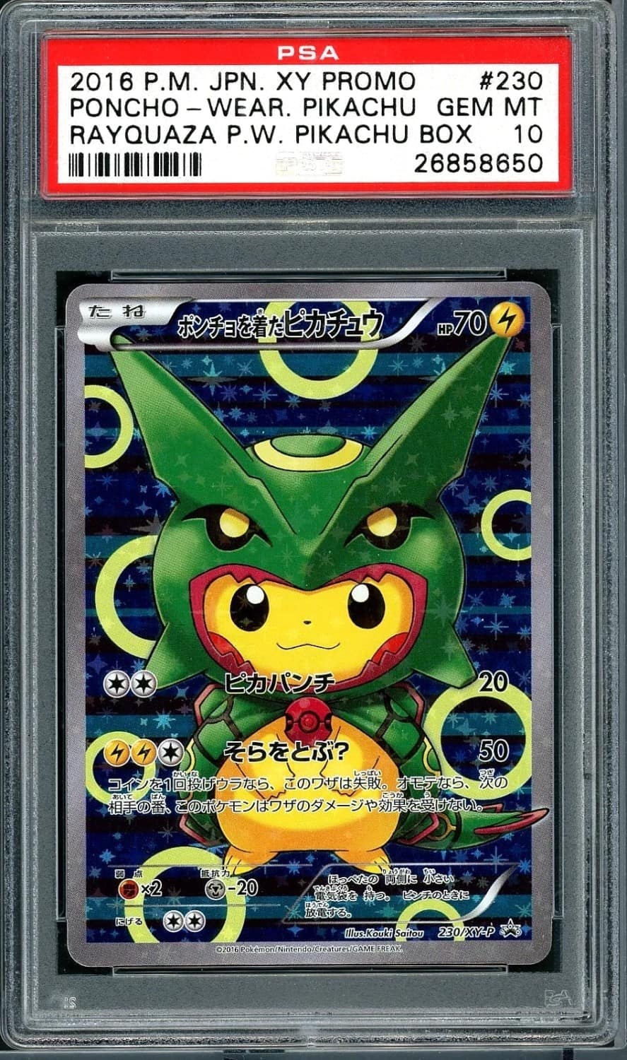 Poncho-Wearing Pikachu