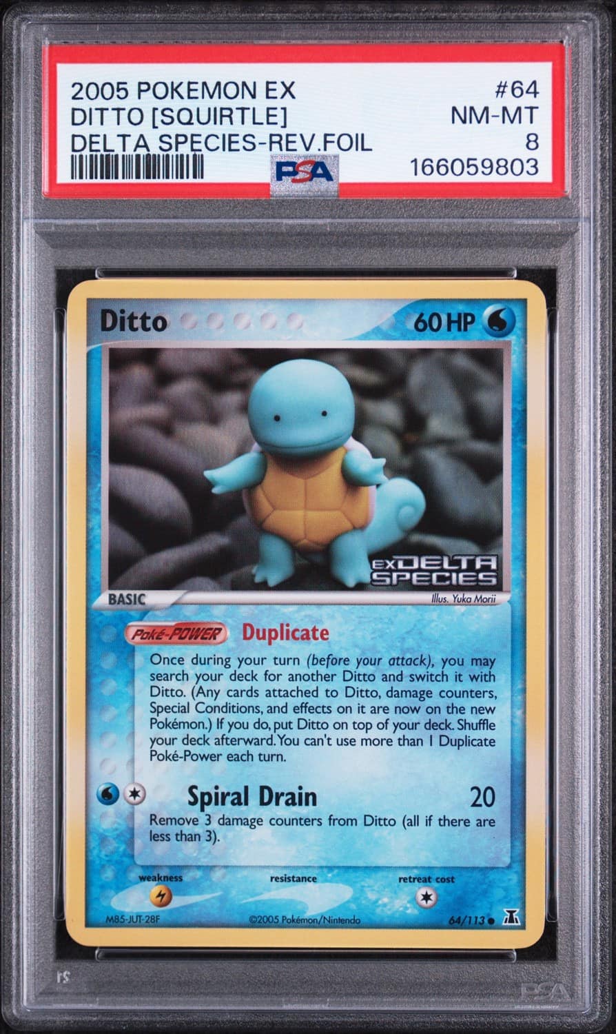 Ditto [squirtle]