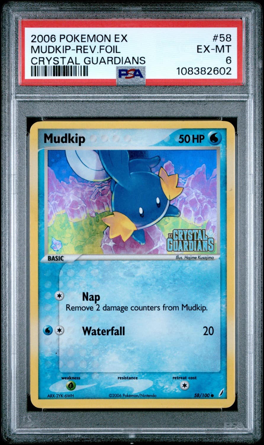 Mudkip