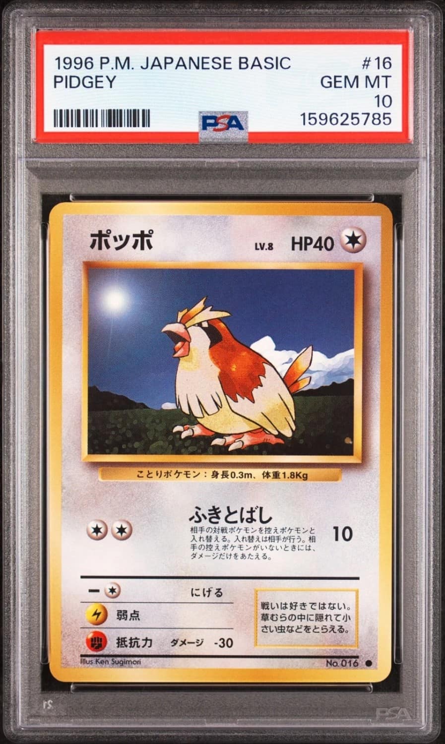 Pidgey