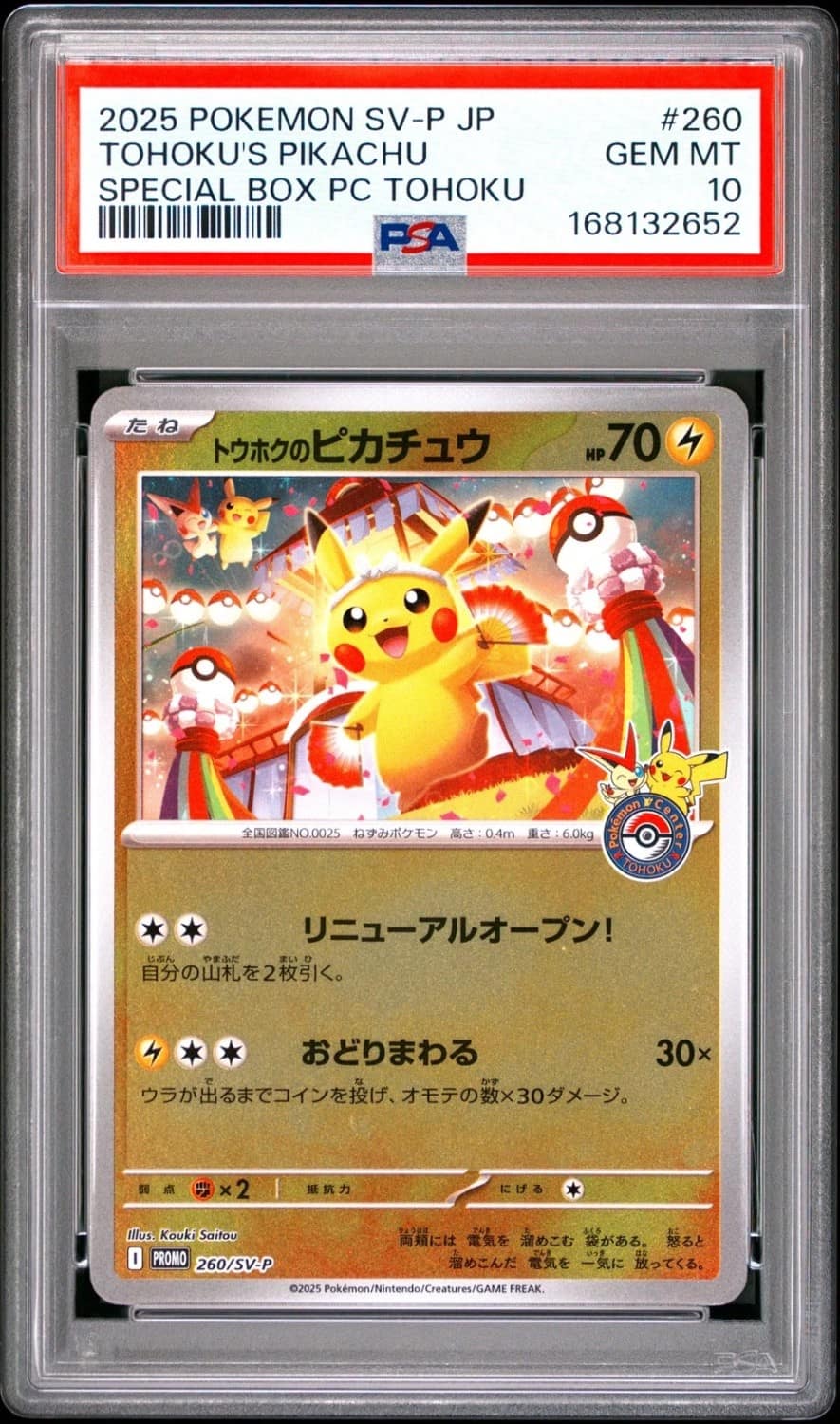 Tohoku'S Pikachu