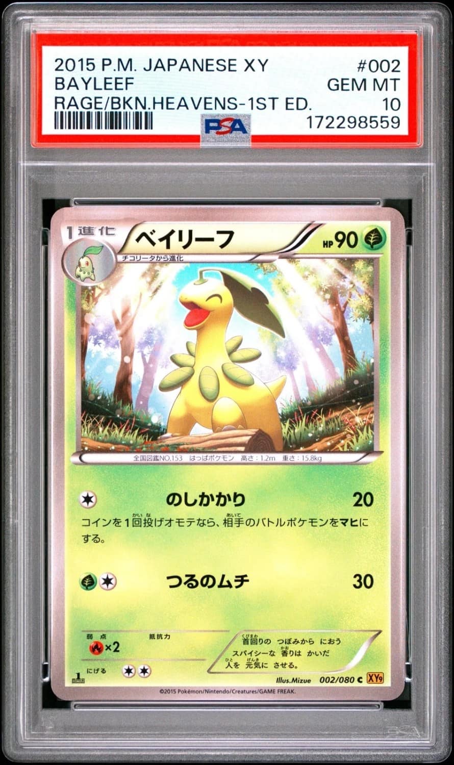 Bayleef