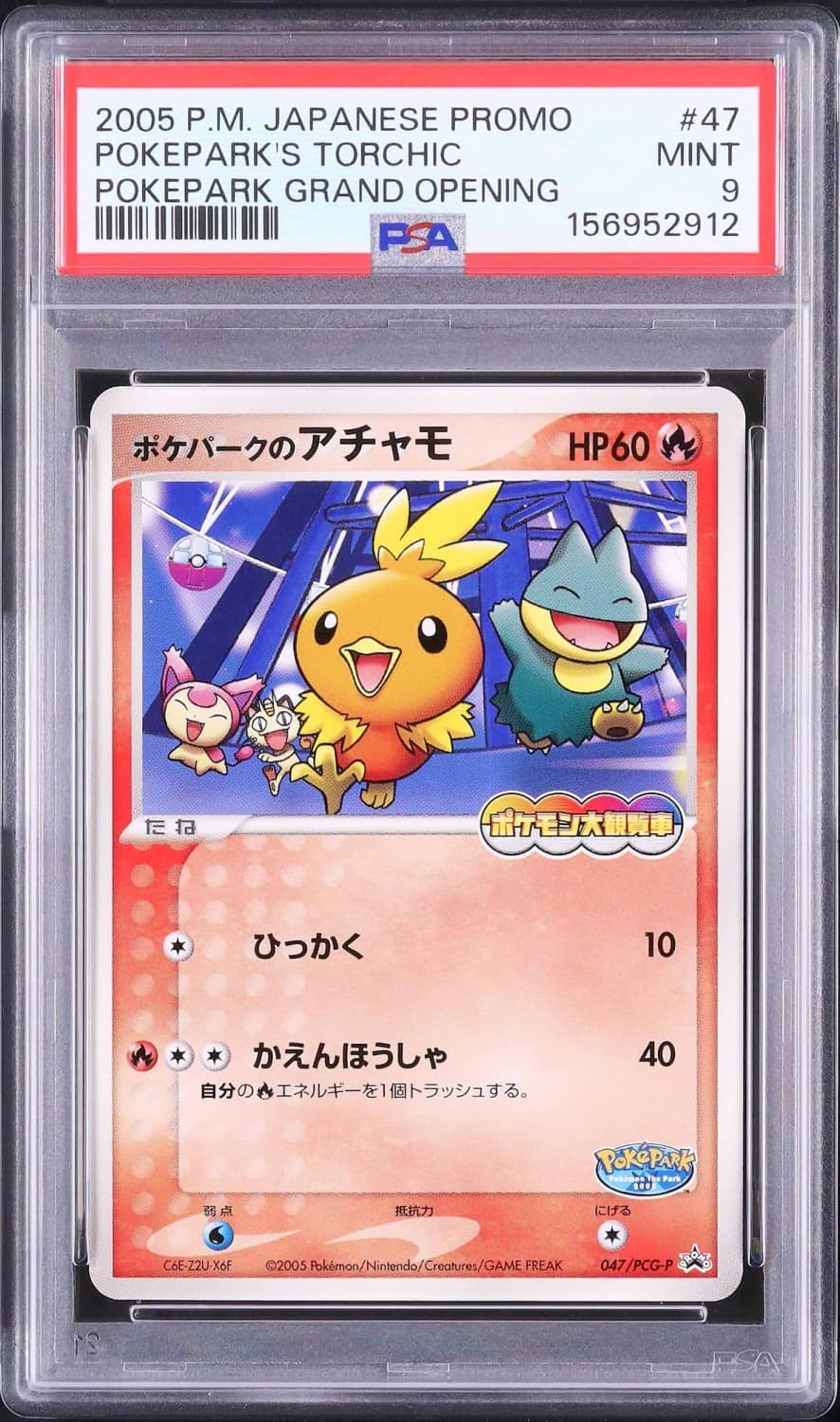 Pokepark'S Torchic