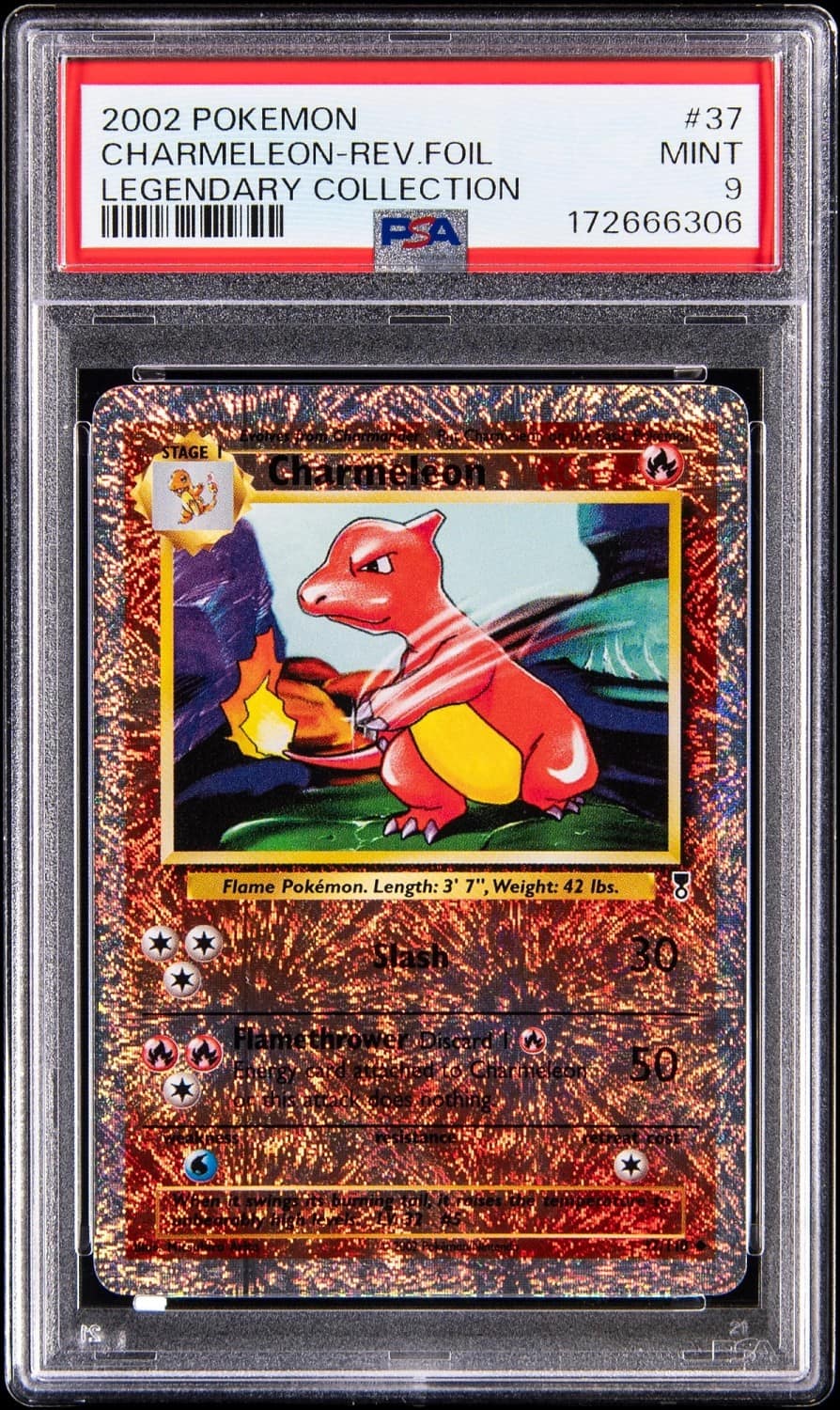 Charmeleon