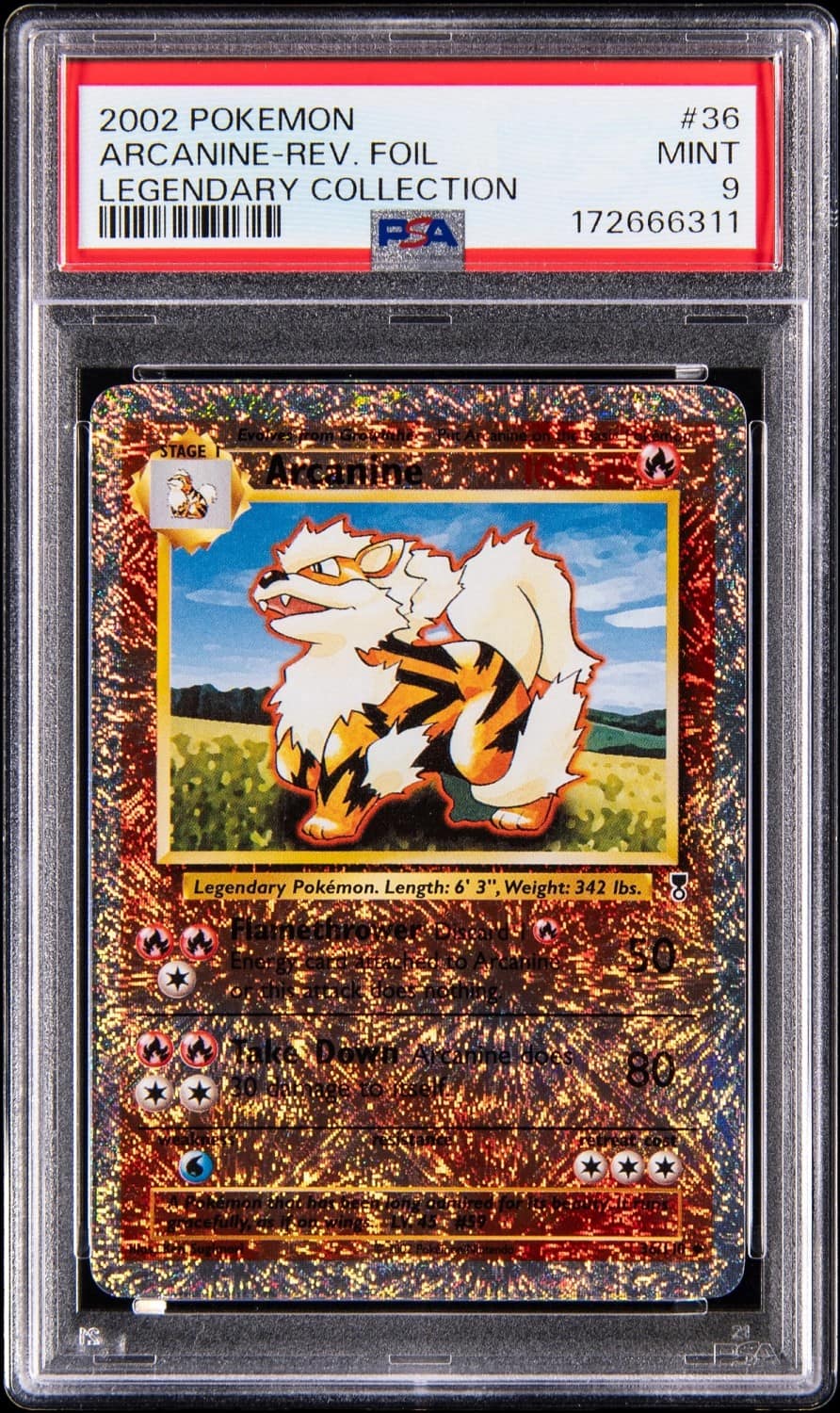 Arcanine