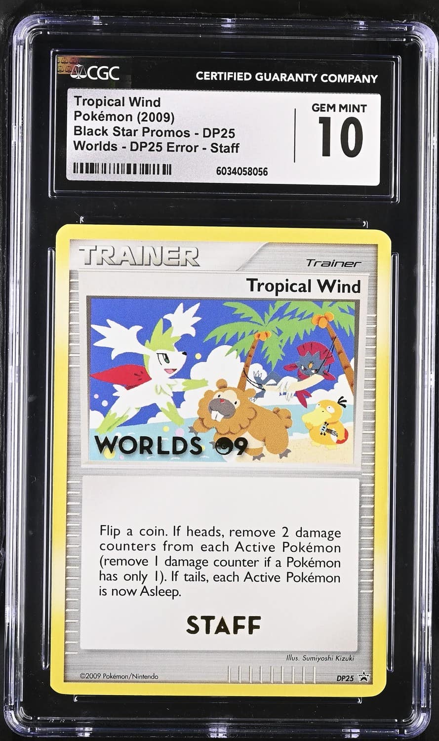 Tropical Wind