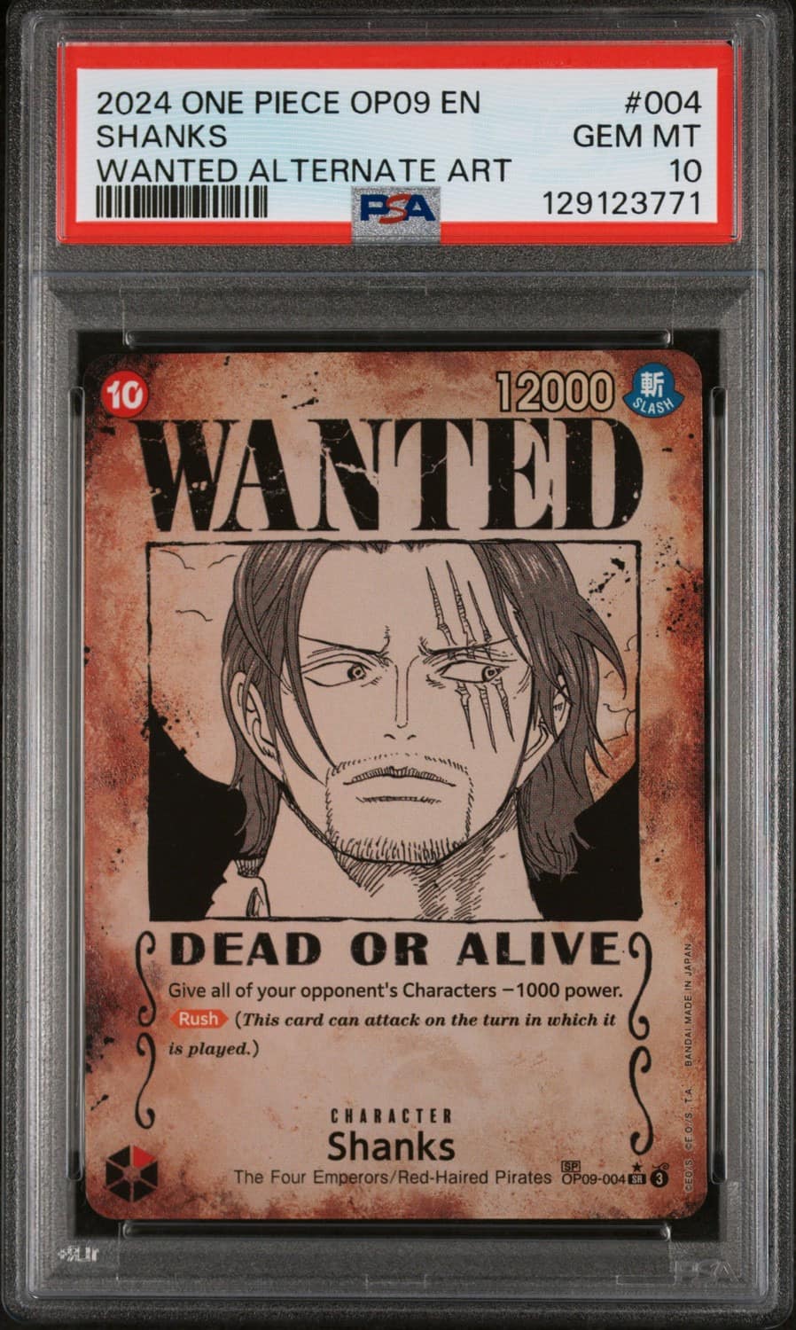 Shanks