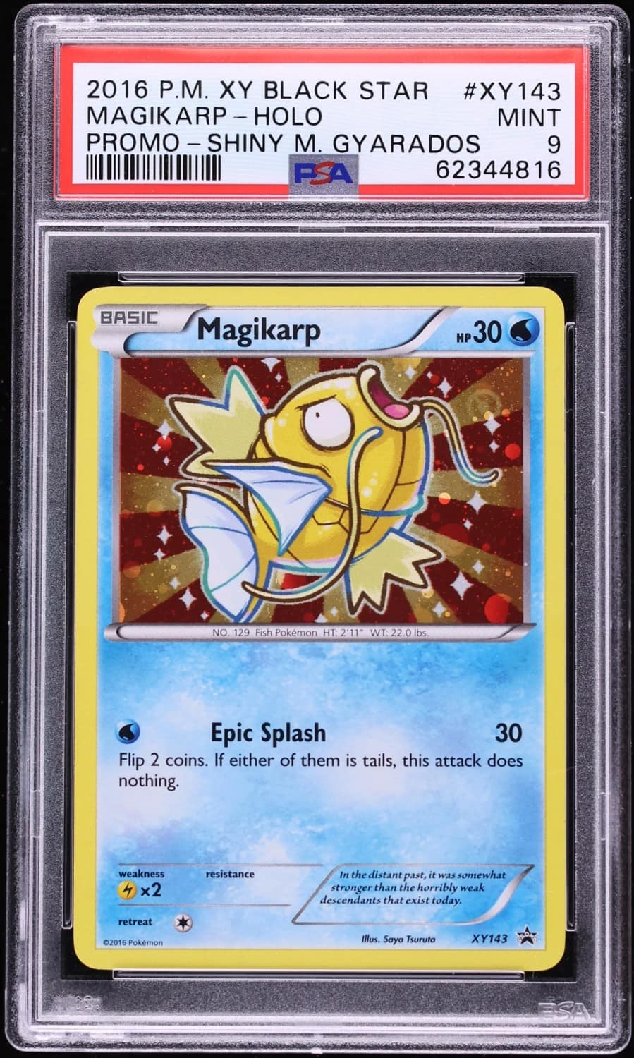 Magikarp