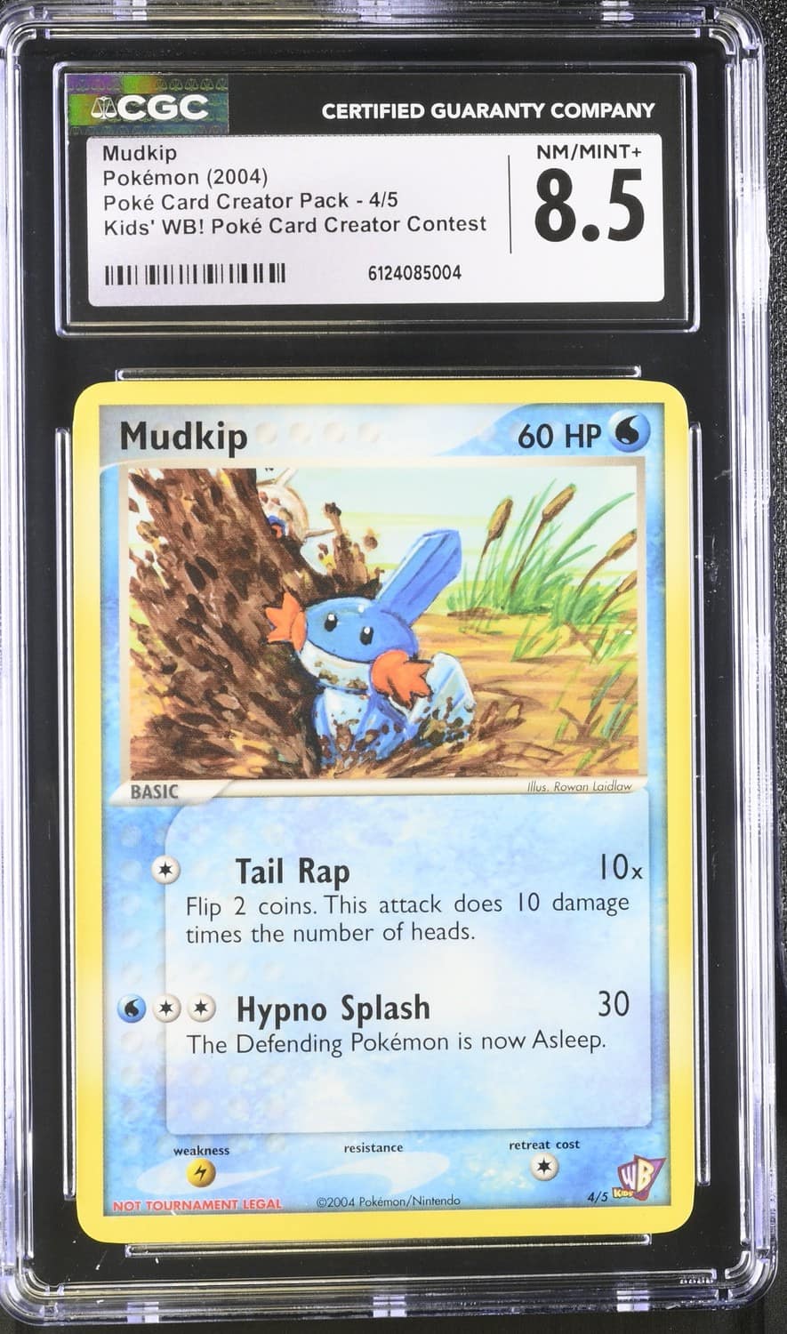 Mudkip