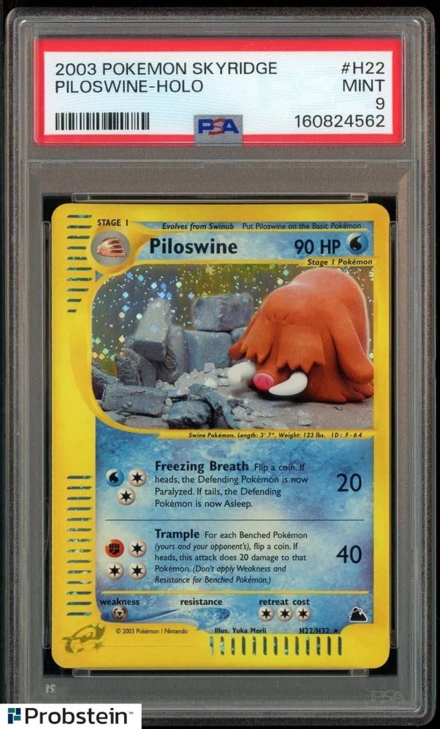 Piloswine