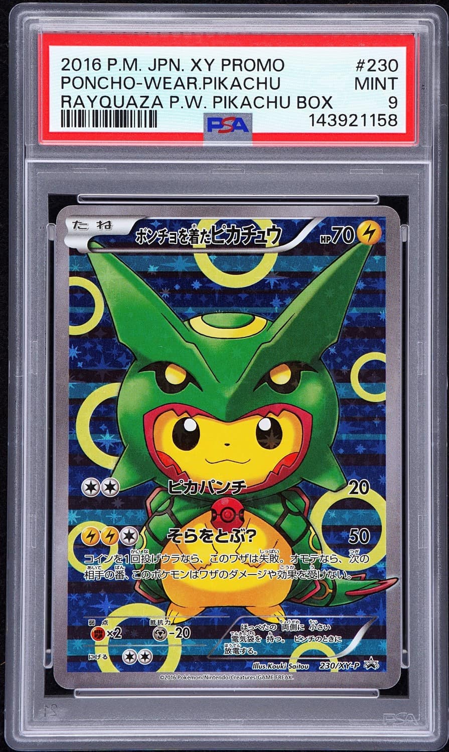 Poncho-Wearing Pikachu