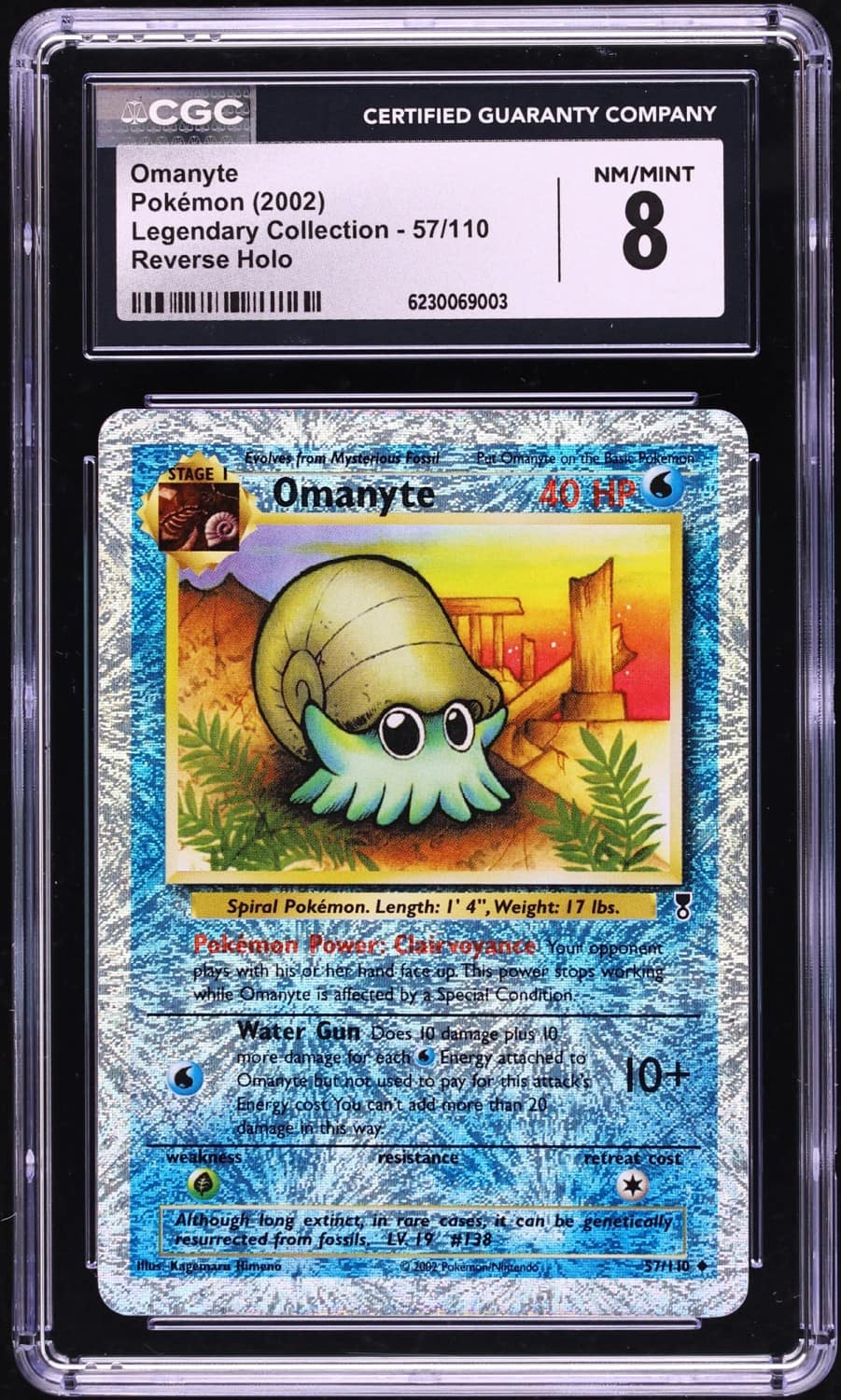 Omanyte