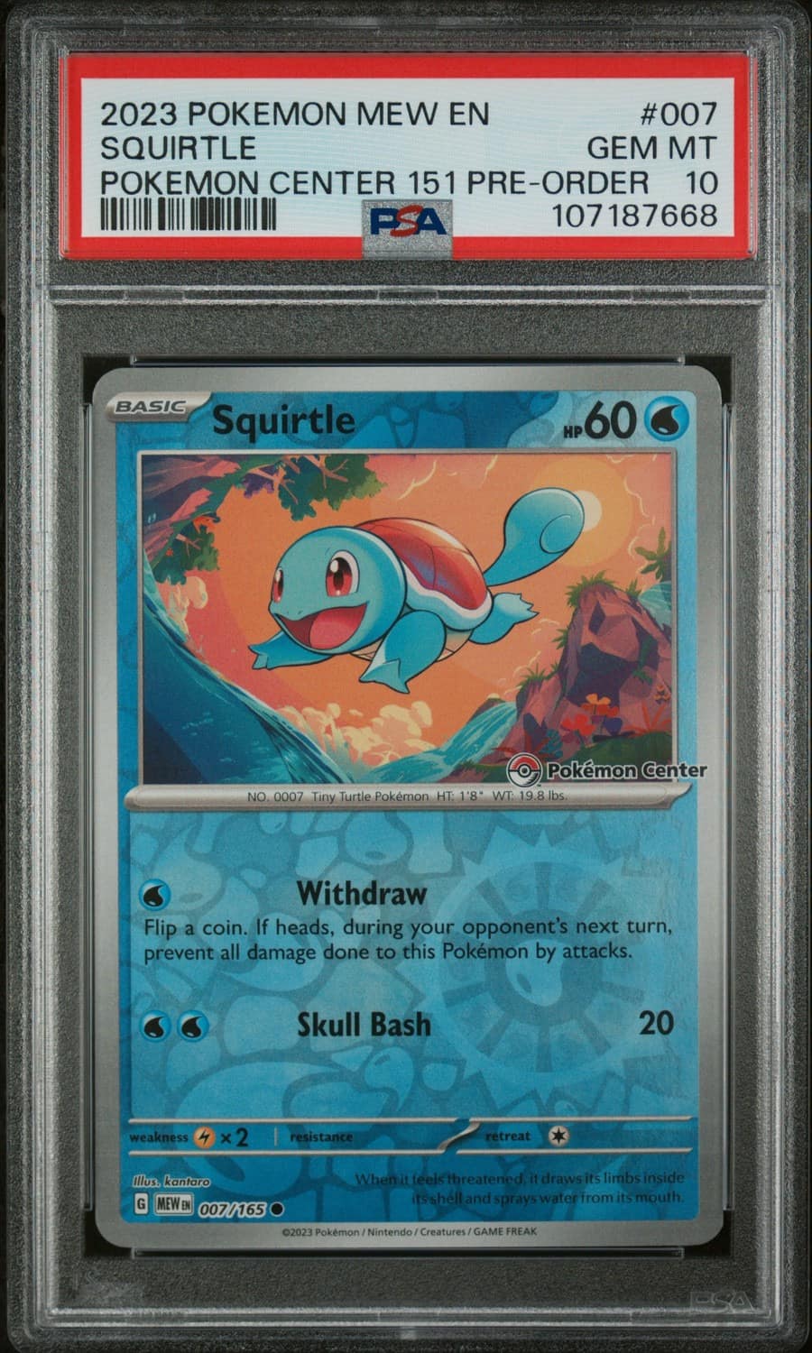 Squirtle