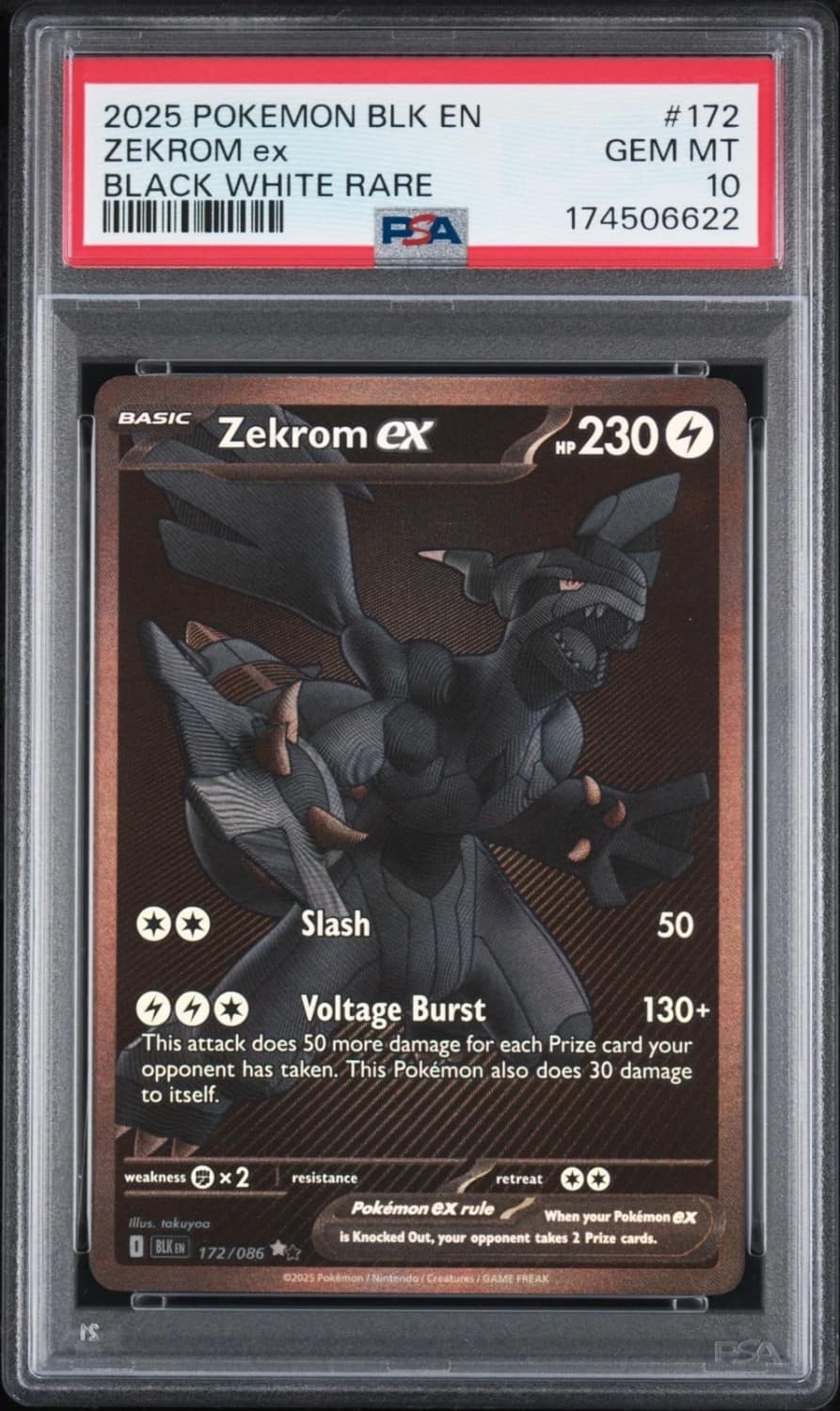 Zekrom Ex