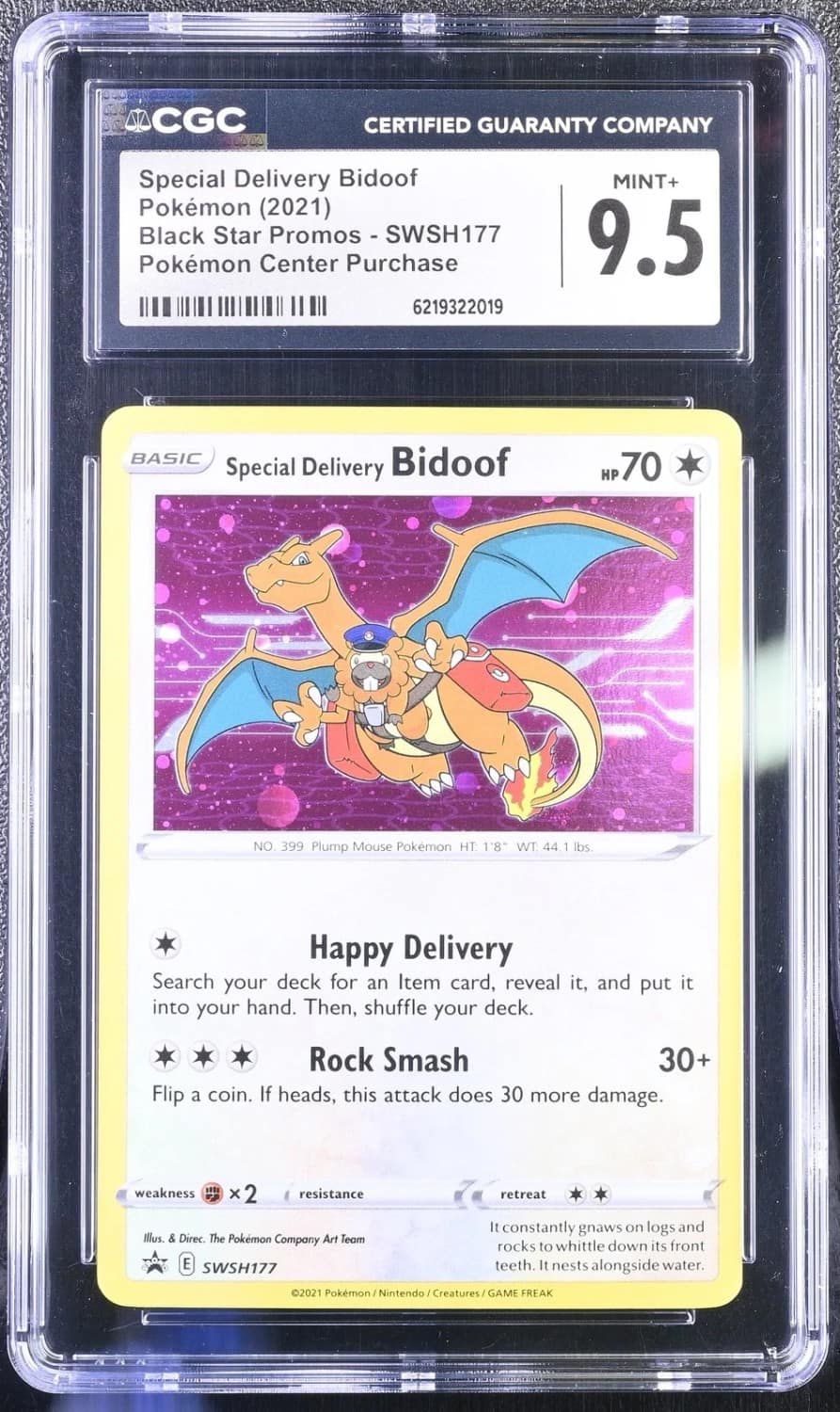 Special Delivery Bidoof