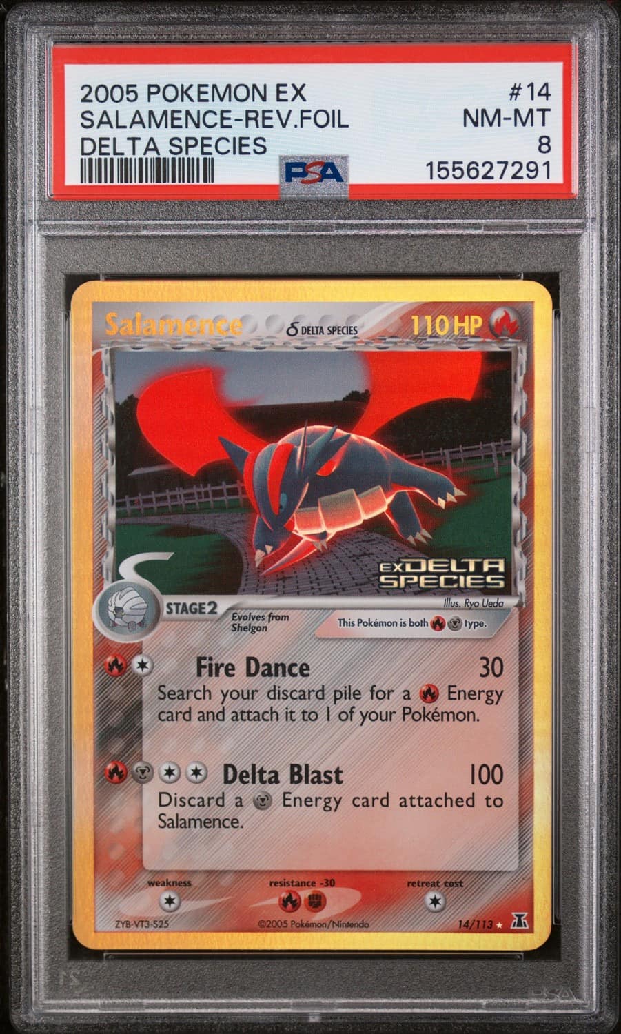 Salamence