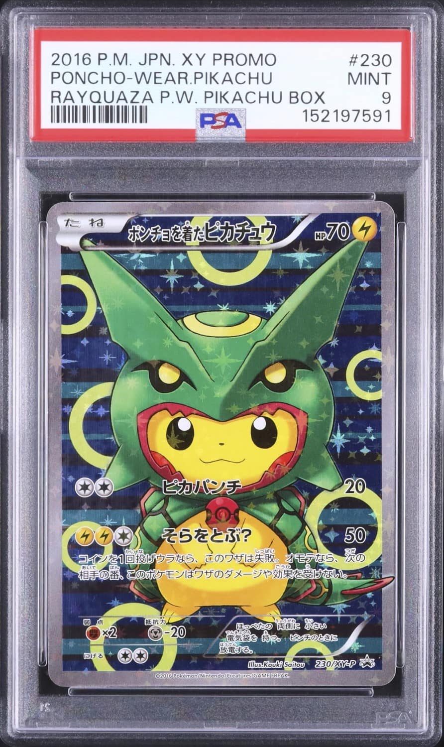 Poncho-Wearing Pikachu