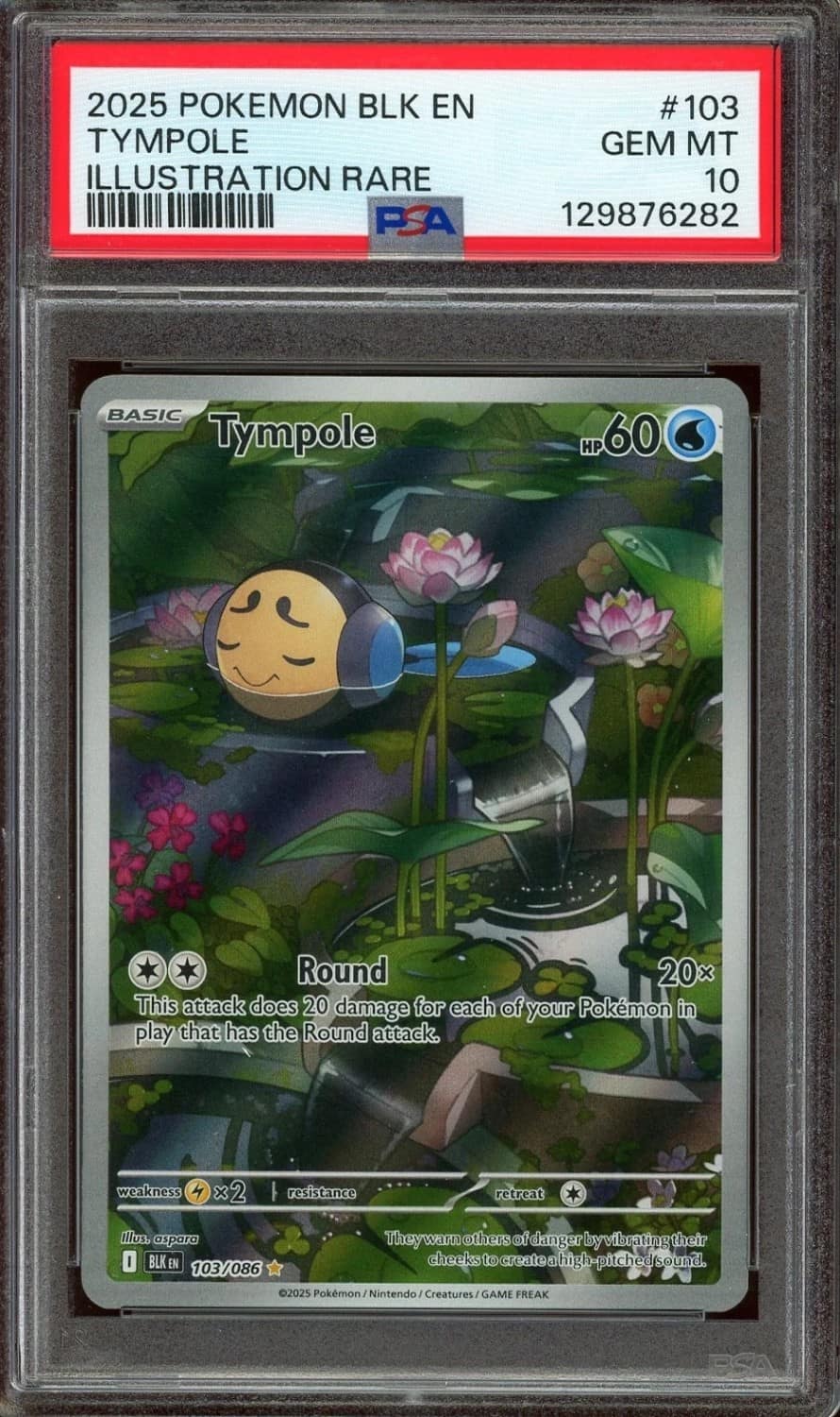 Tympole