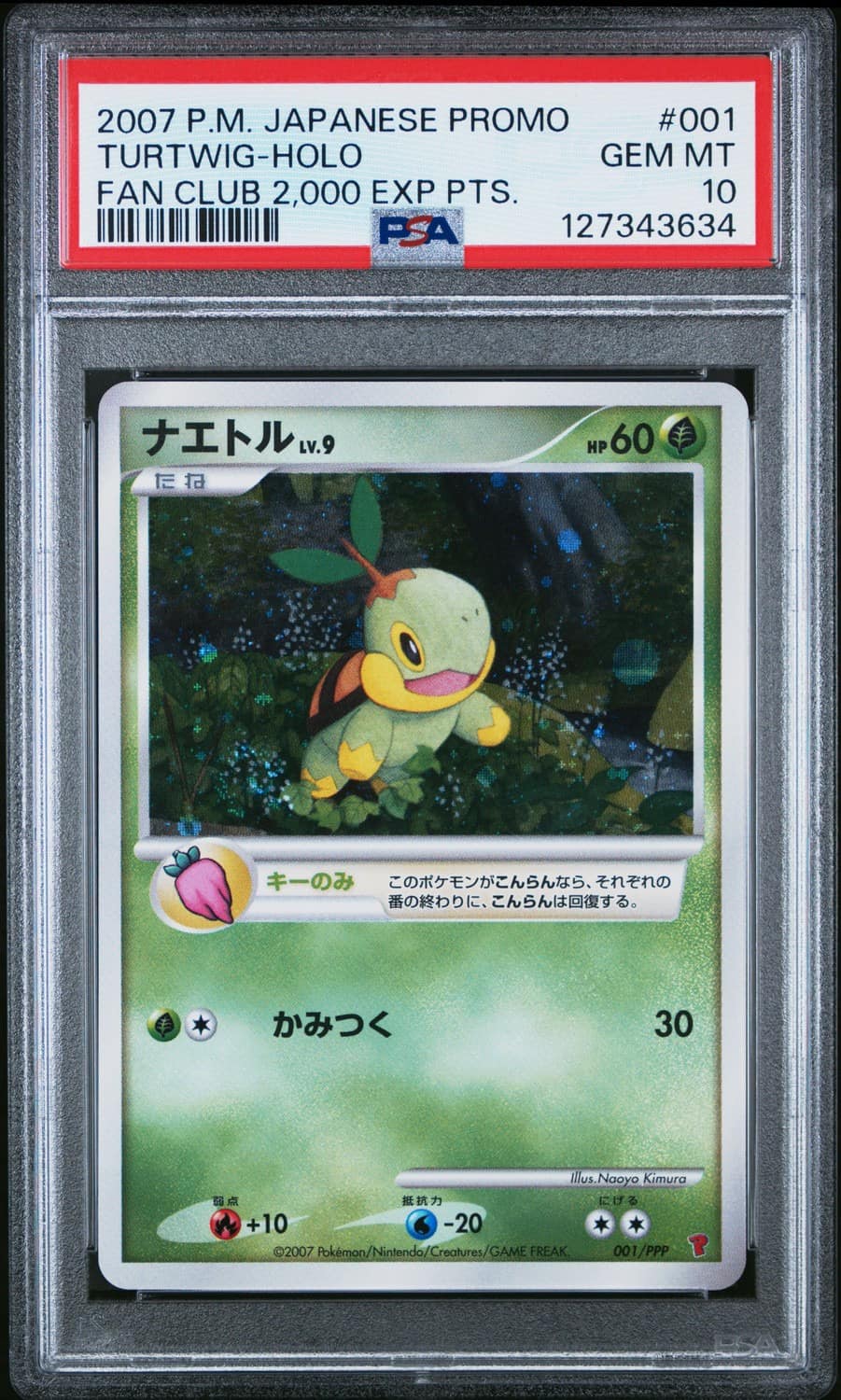 Turtwig