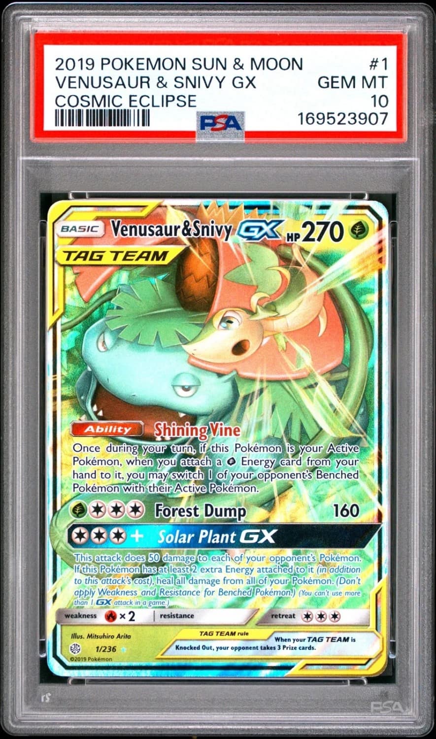 Venusaur & Snivy Gx