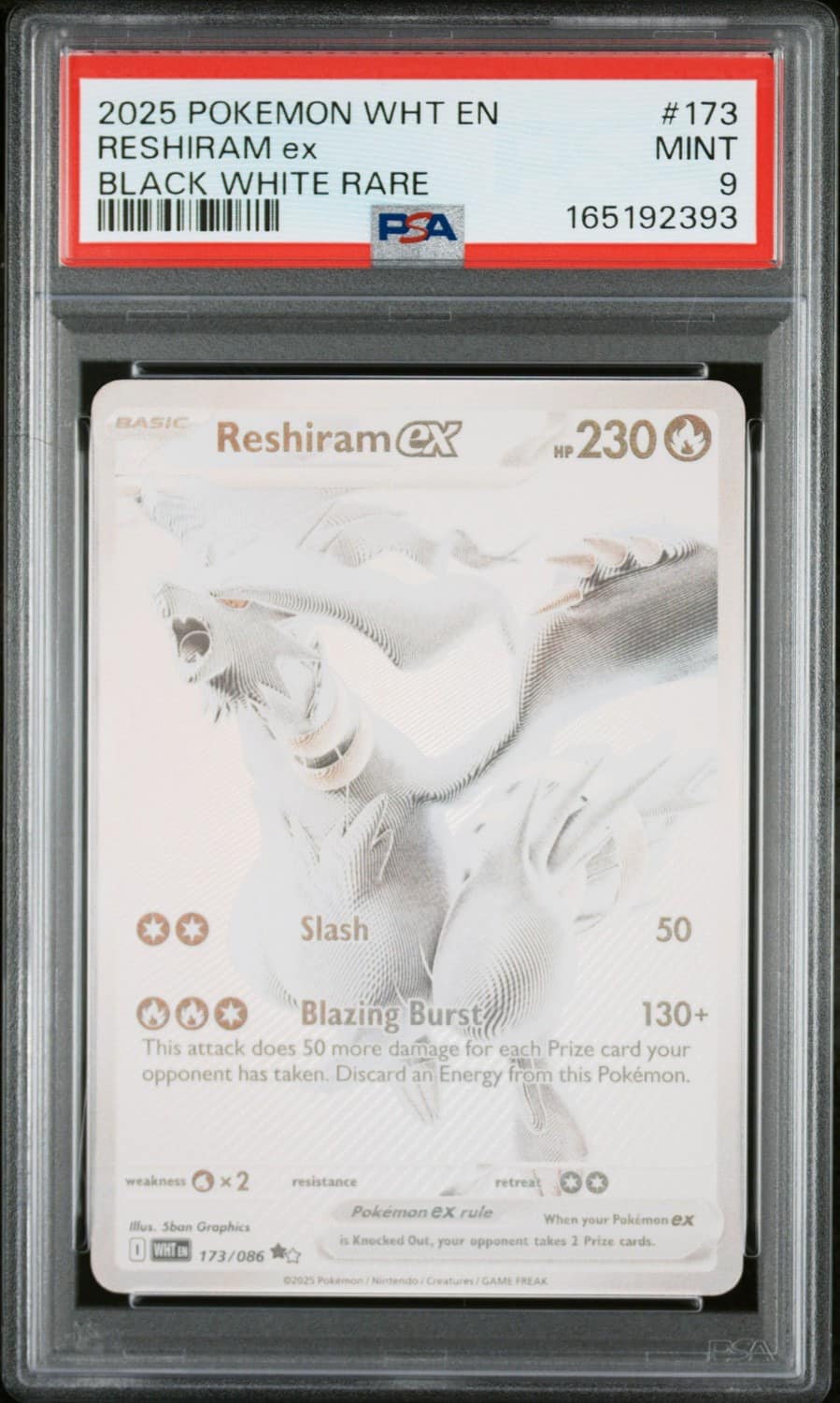 Reshiram Ex