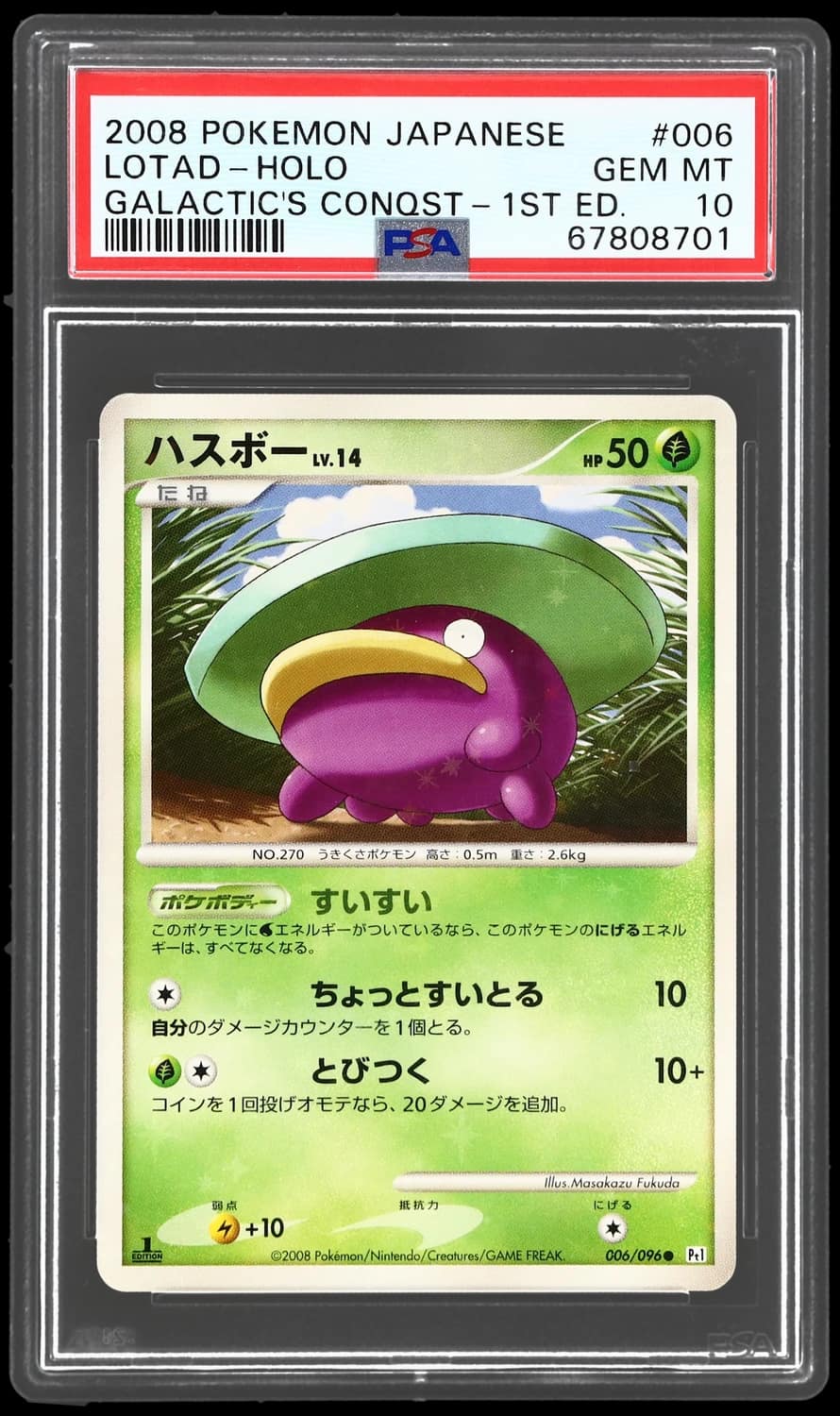Lotad
