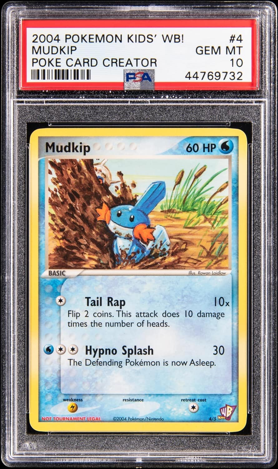 Mudkip
