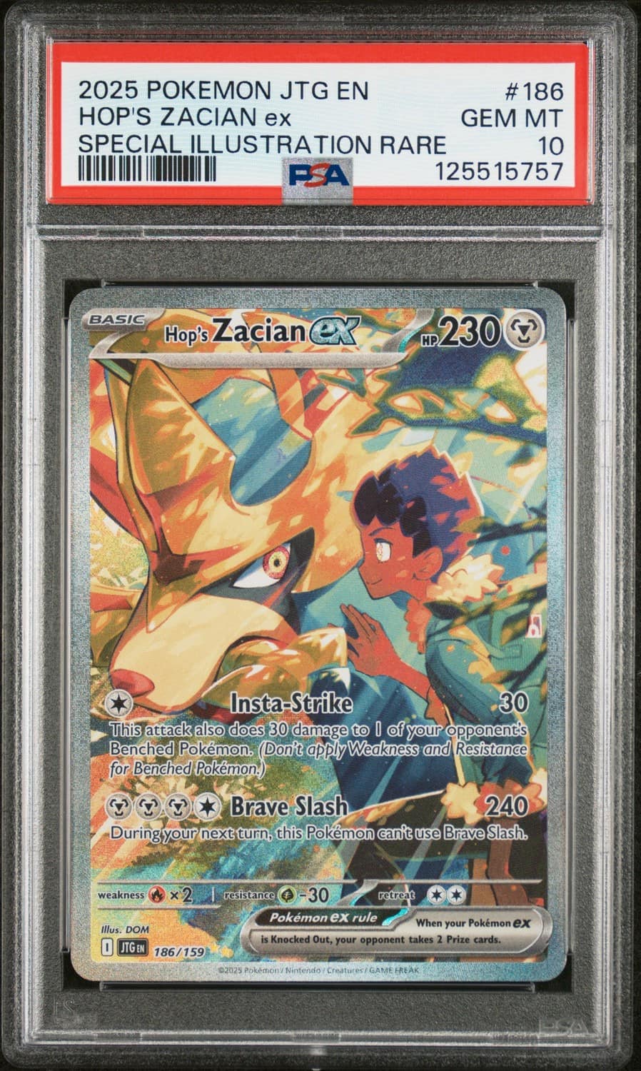 Hop'S Zacian Ex