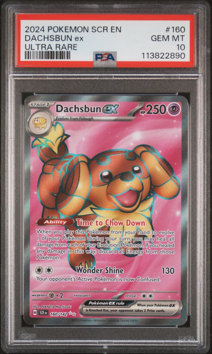 Dachsbun Ex
