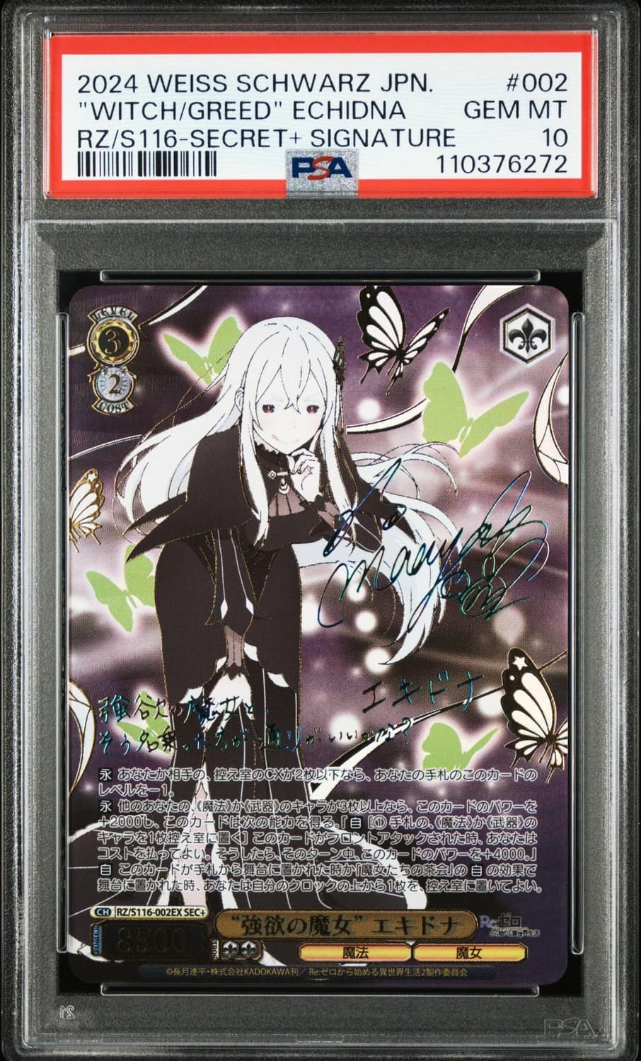 "witch/greed" Echidna