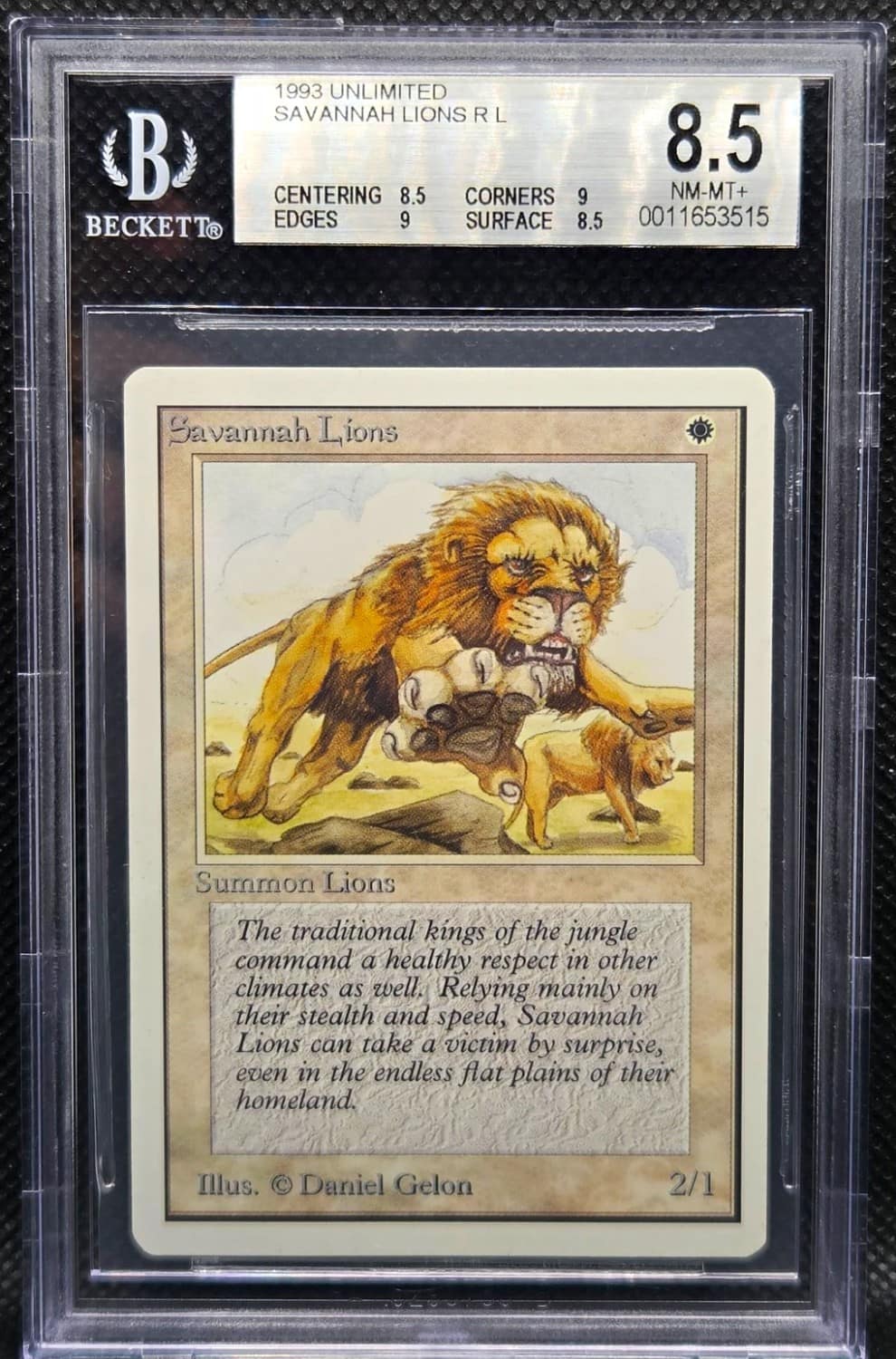 Savannah Lions