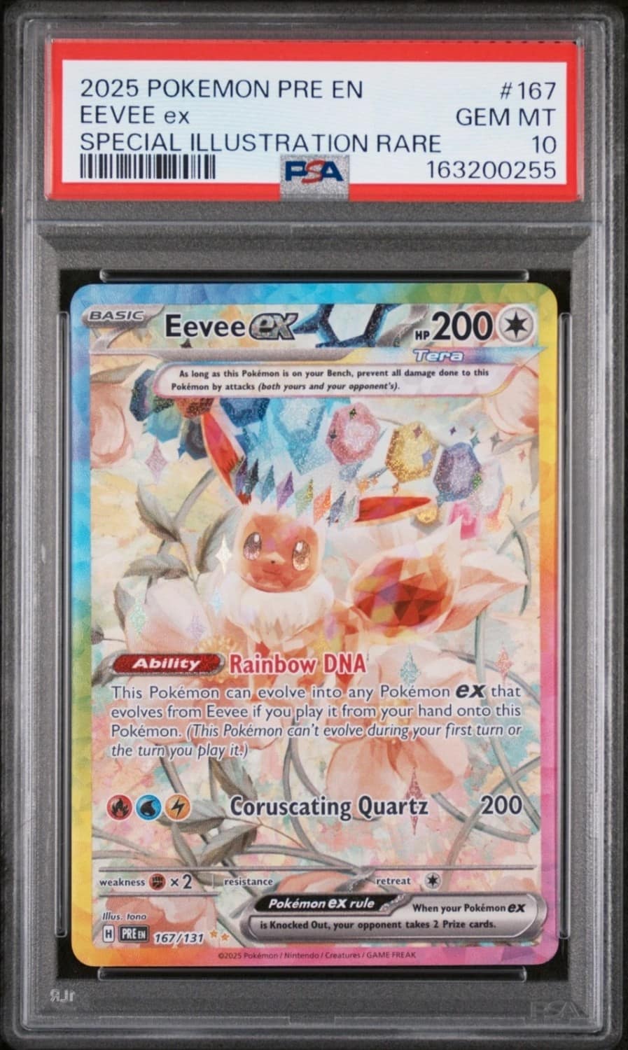 Eevee Ex