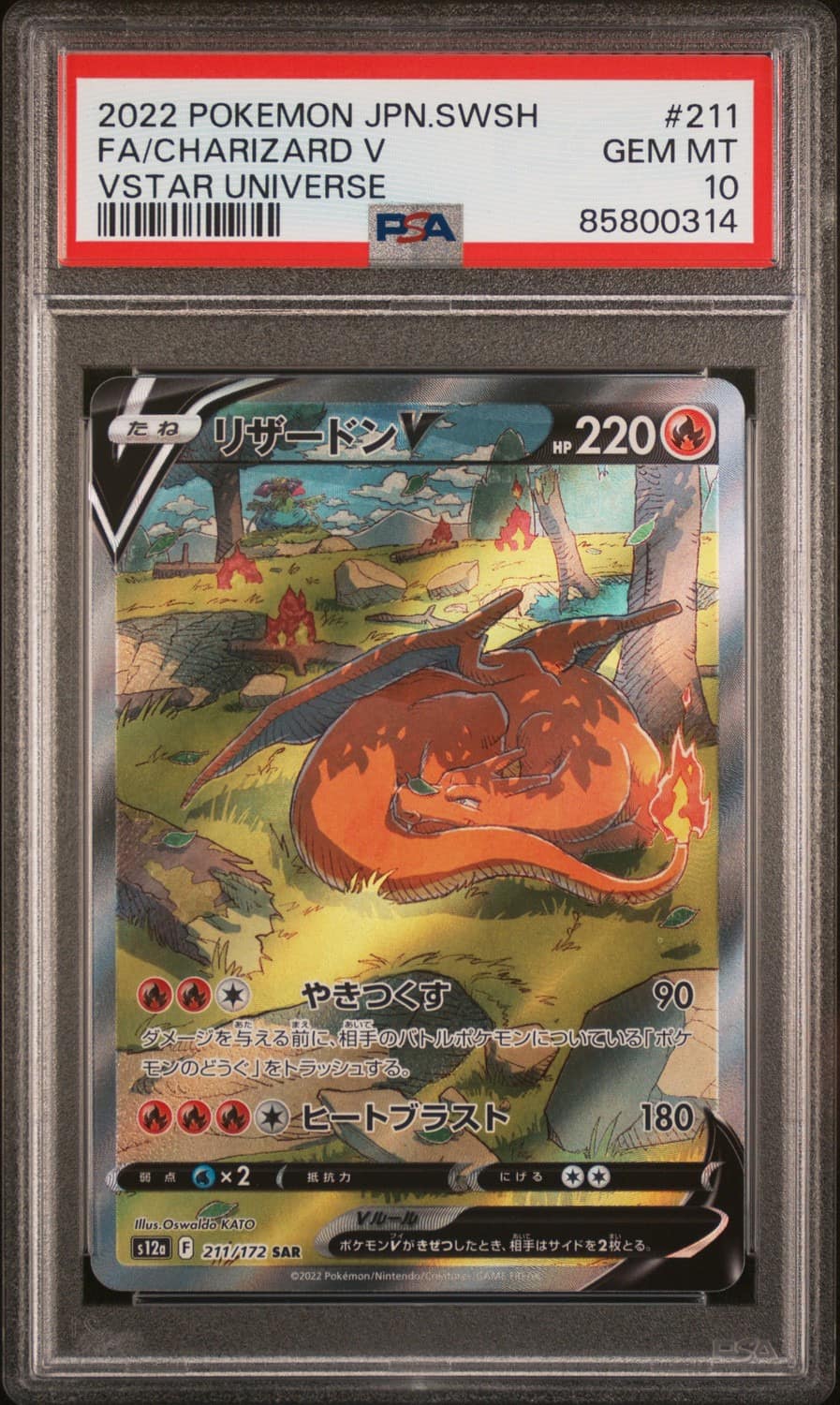 Charizard V